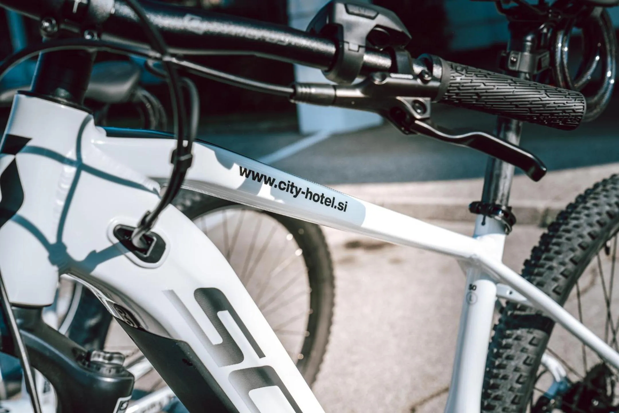 Activities in City Hotel Krško