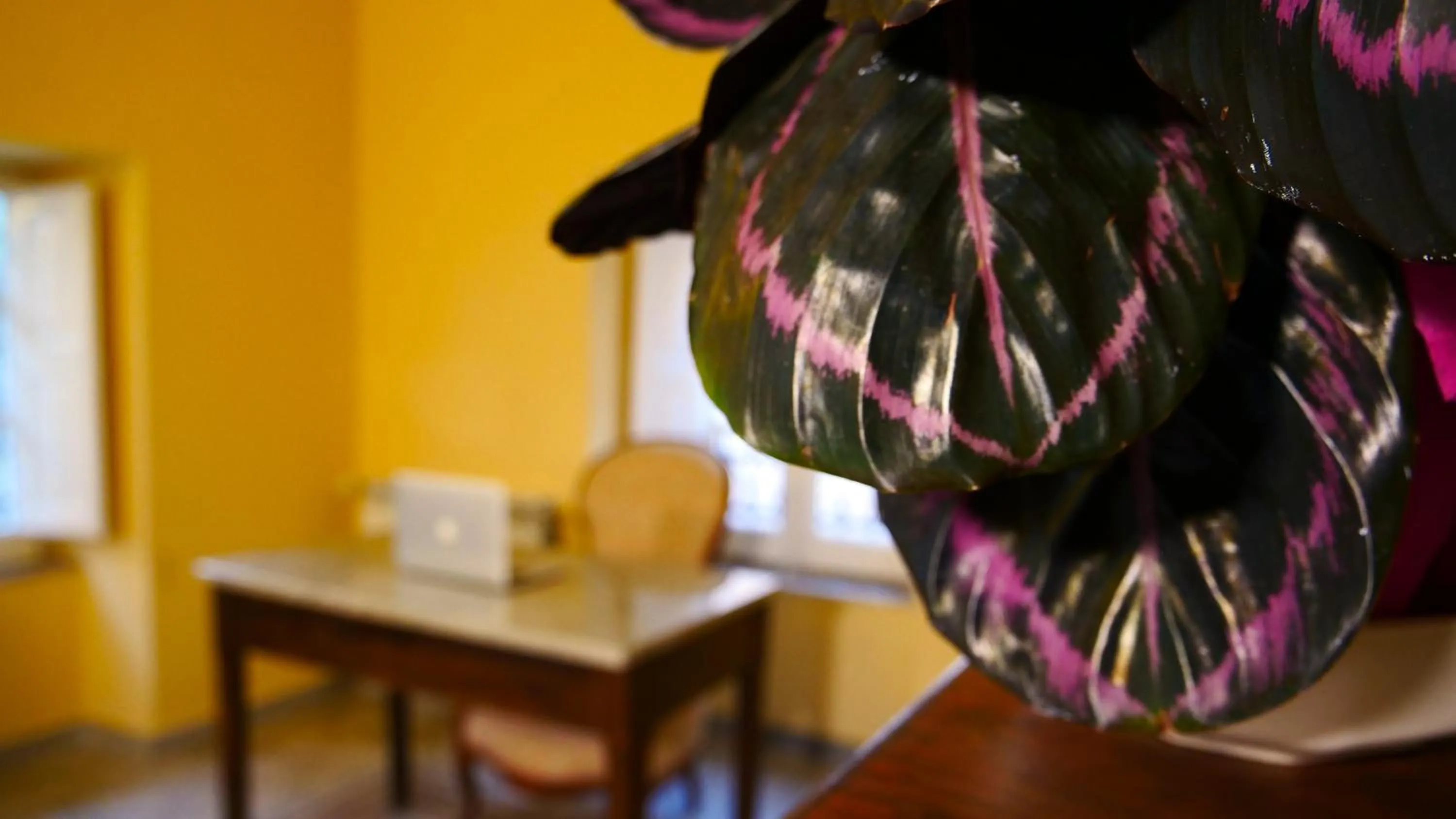 Lobby or reception in Arte & Mare