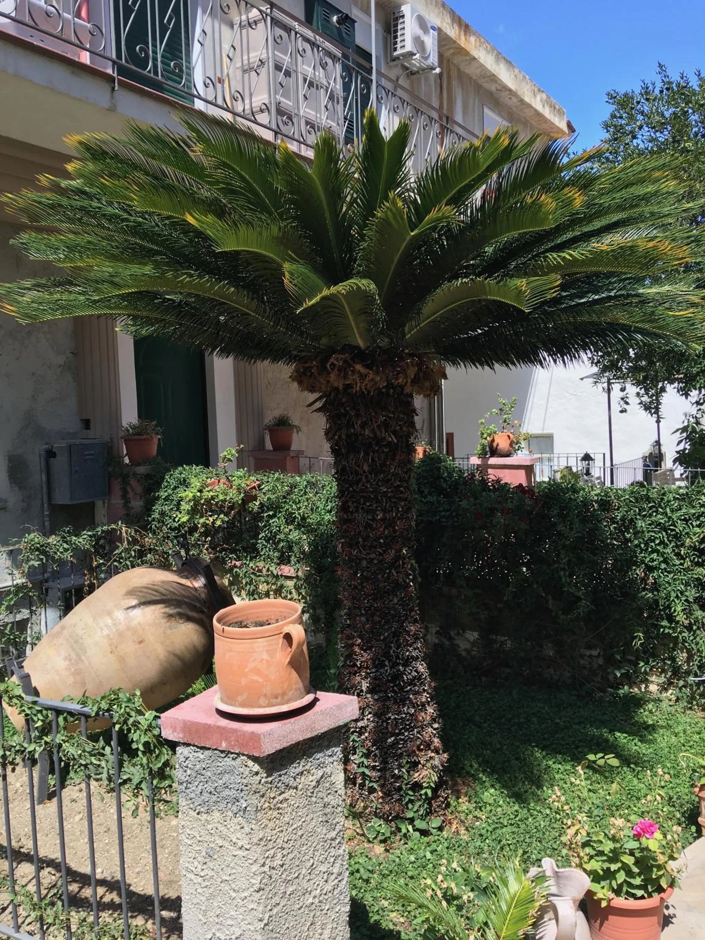 Property building in Arte & Mare