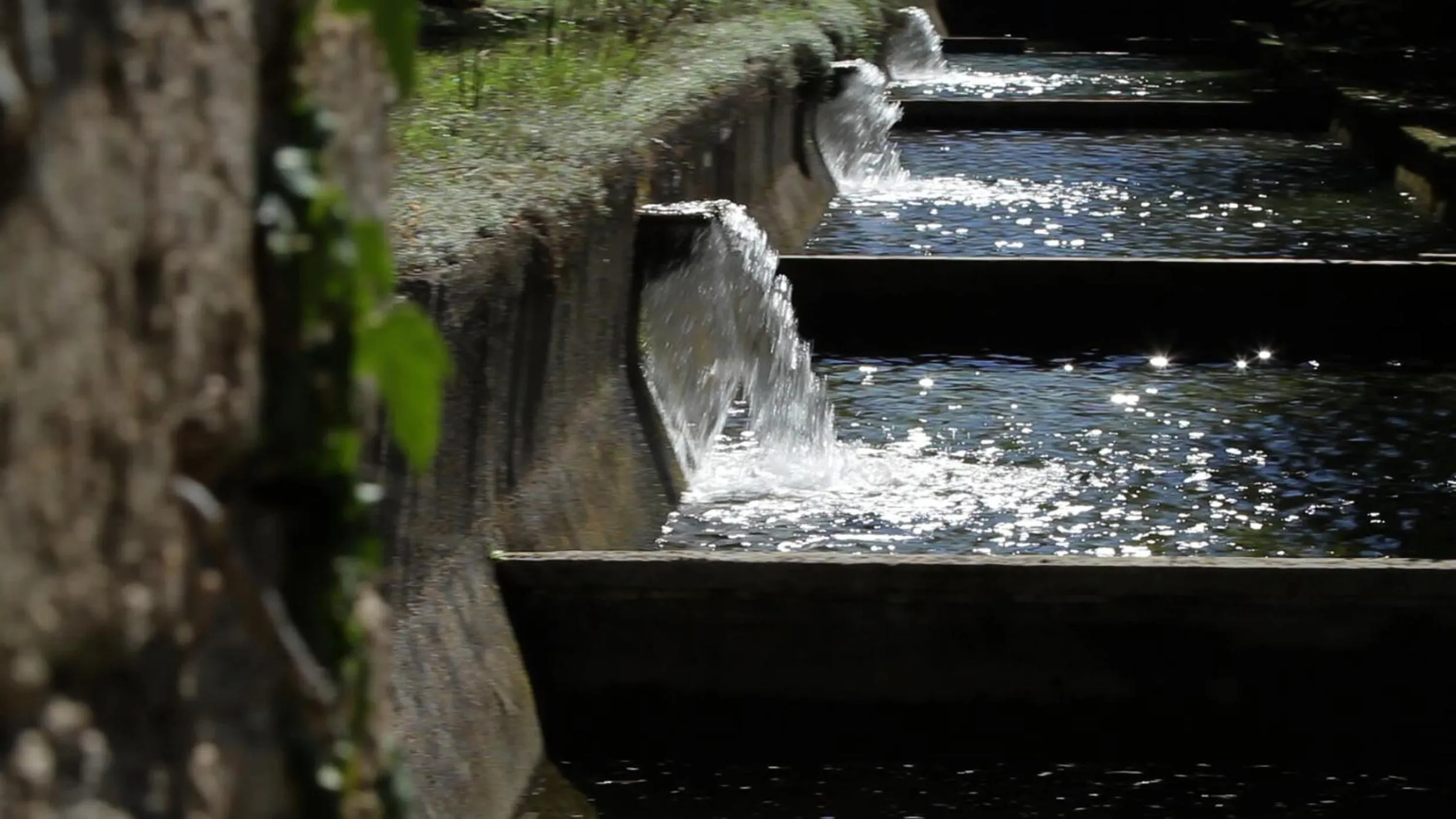 Garden in Convento di Acqua Premula