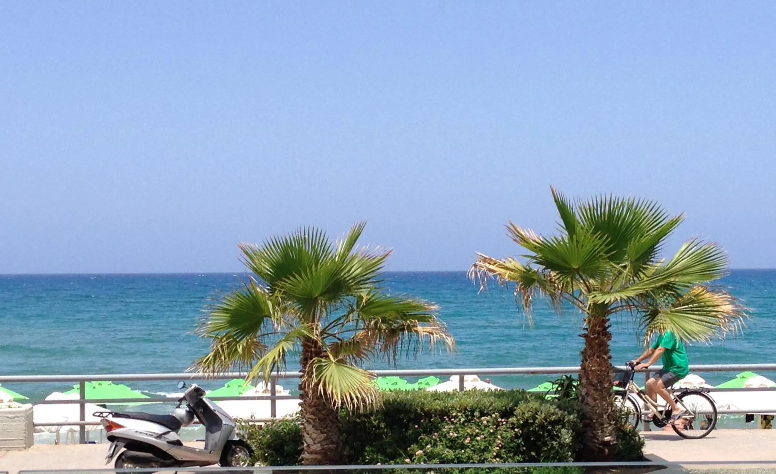 Area and facilities in Swell Boutique Hotel