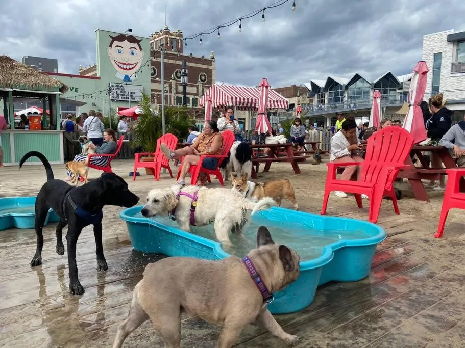 The Albert - Walk to Beach & Asbury