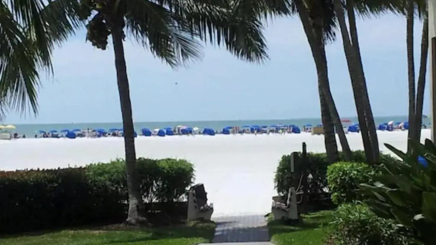 Always Summer On a White Sandy Beach Always Summer On a White Sandy Beach