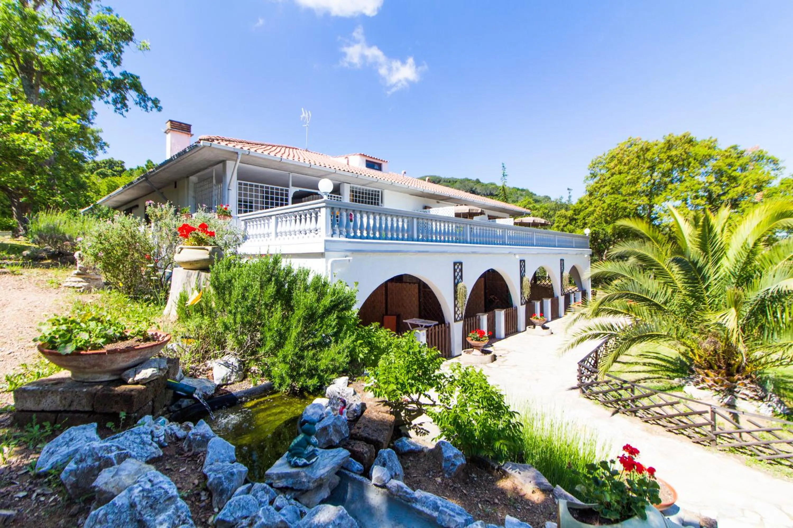 Property building in Residence Oasis