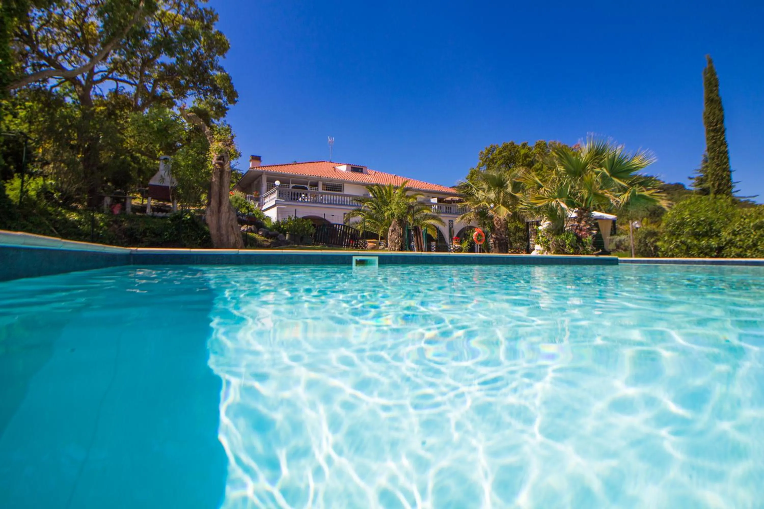 Pool view in Residence Oasis