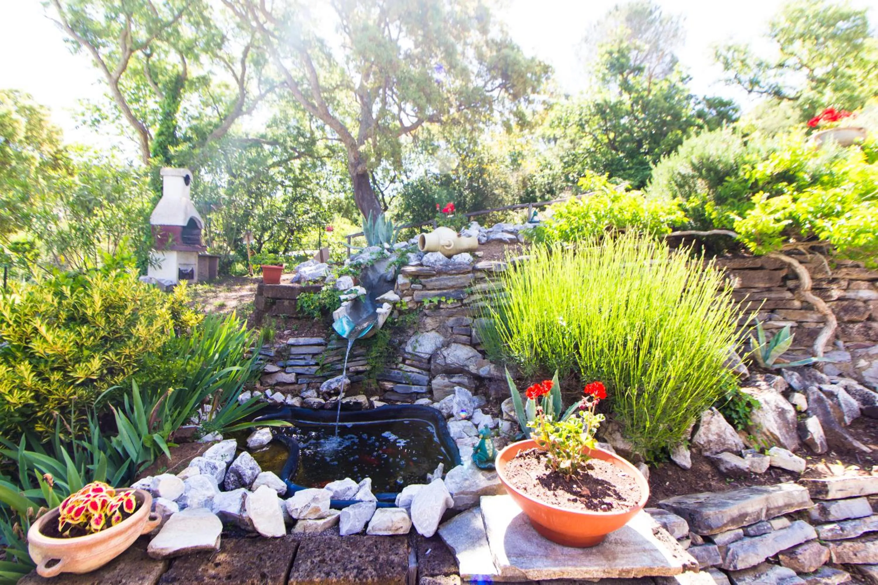 Garden in Residence Oasis