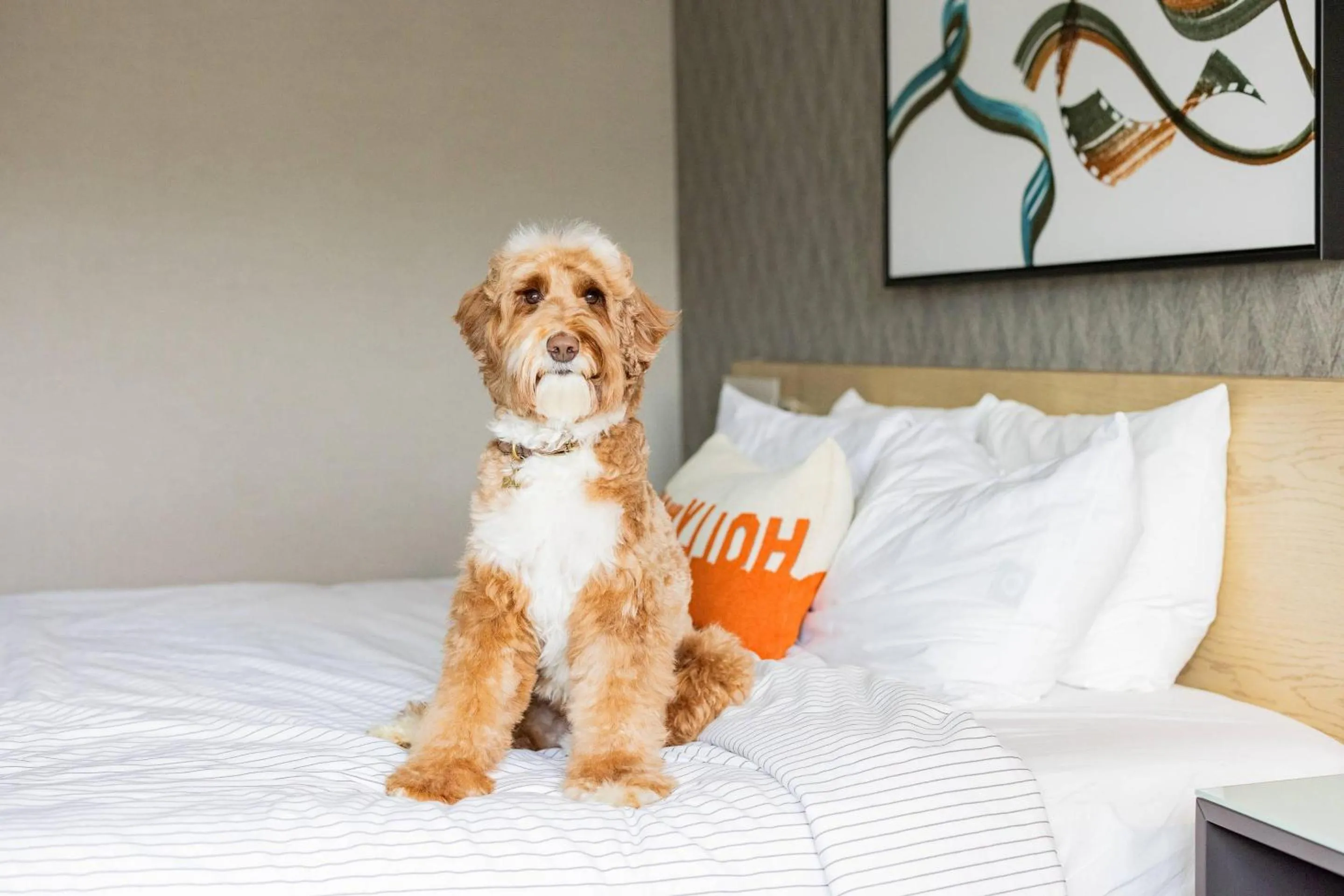 Bedroom, Bed in Cambria Hotel Burbank Airport