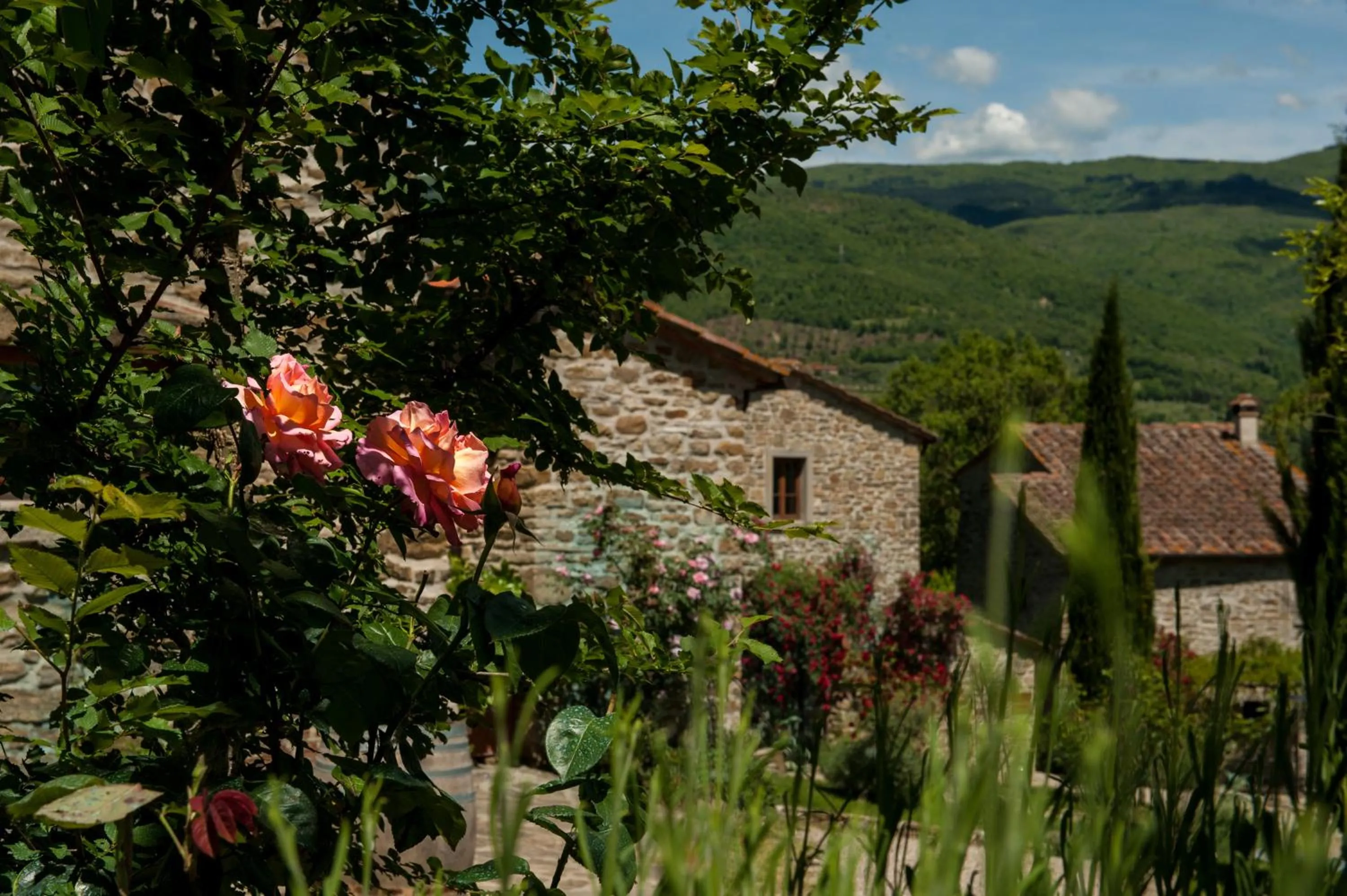 Agriturismo Azienda Agricola Il Pozzo