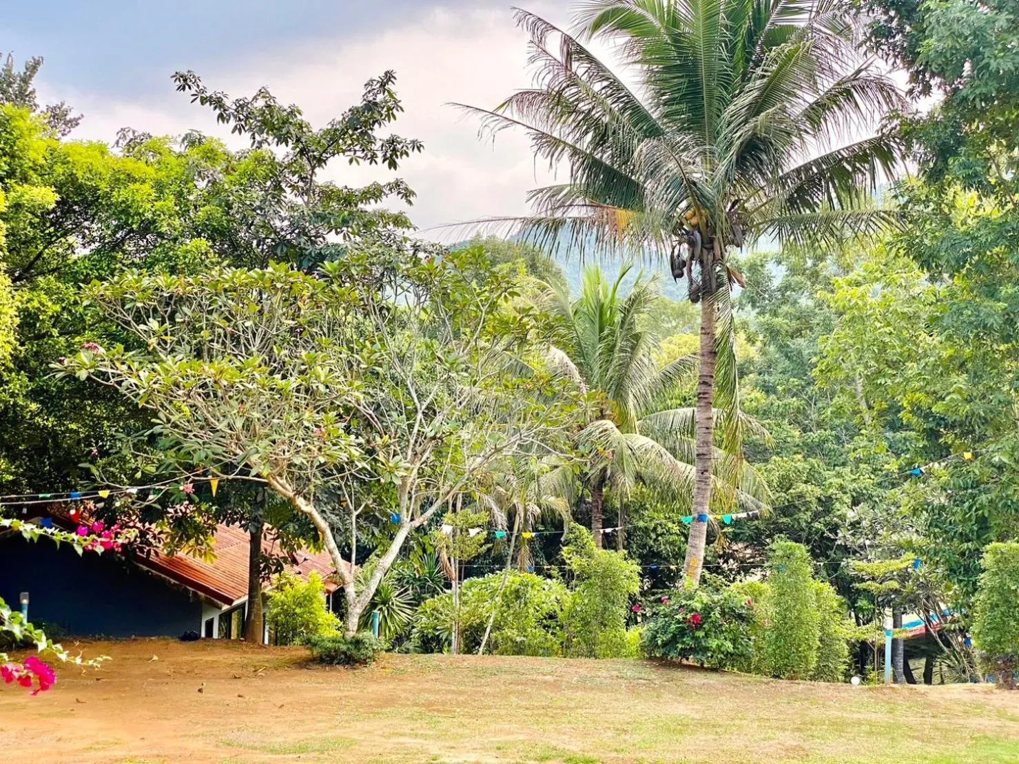 Natural landscape in Relax Camp Resort Kaeng Krachan