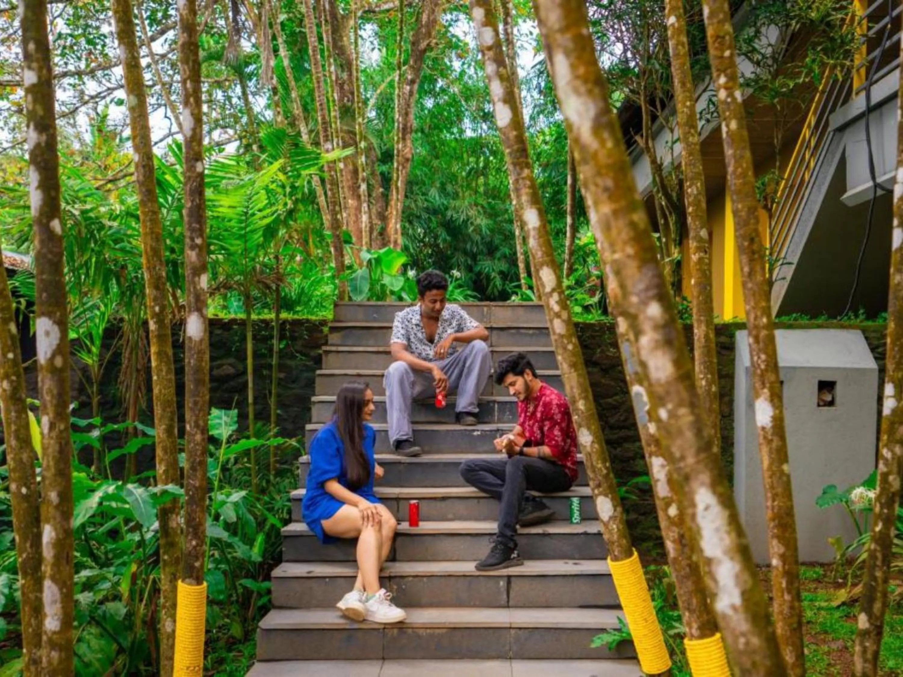 Spring in The Hosteller Wayanad, Vythiri