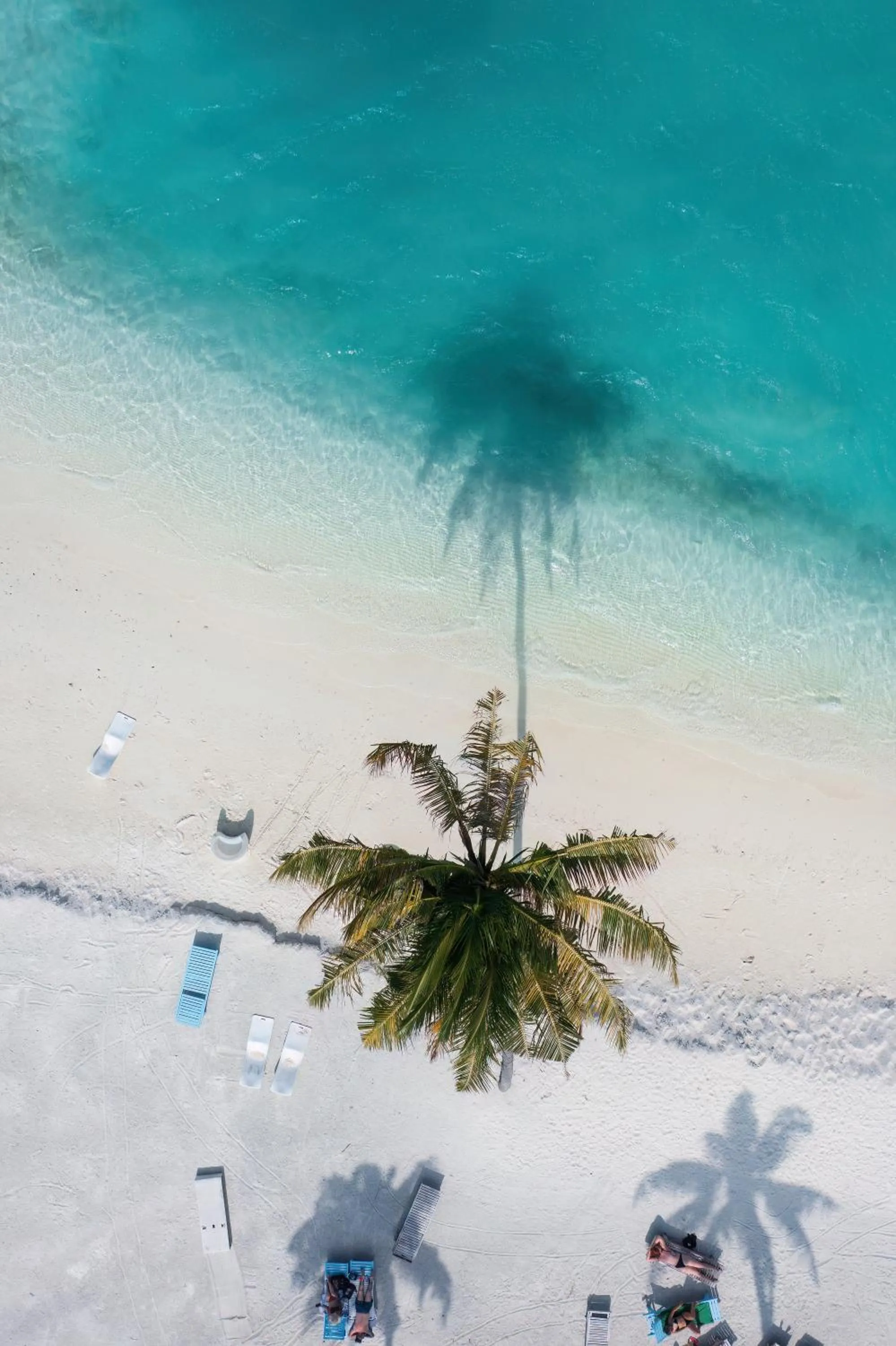Natural landscape in Silver Oasis Maldives
