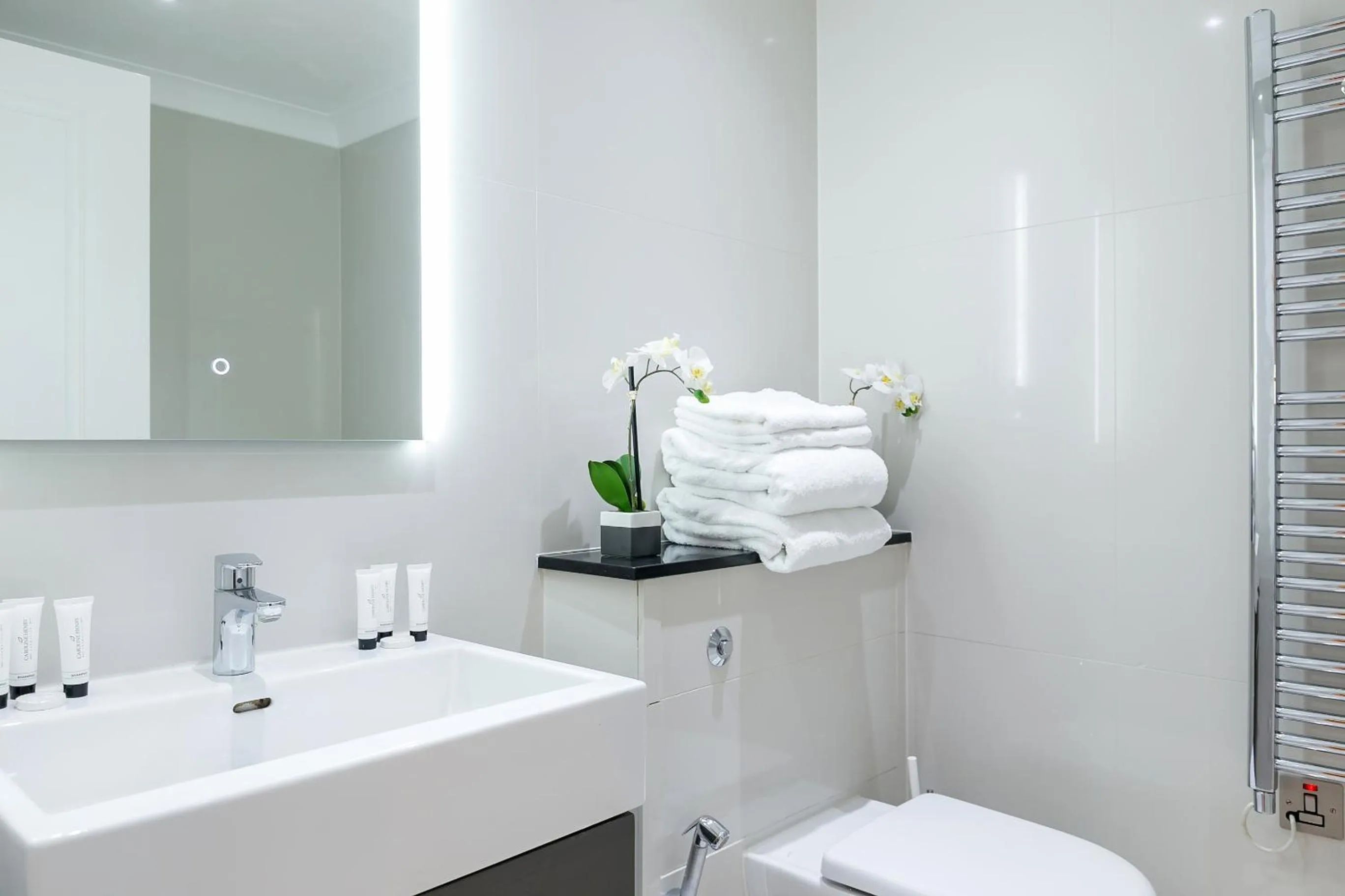 Toilet in Chilworth Court