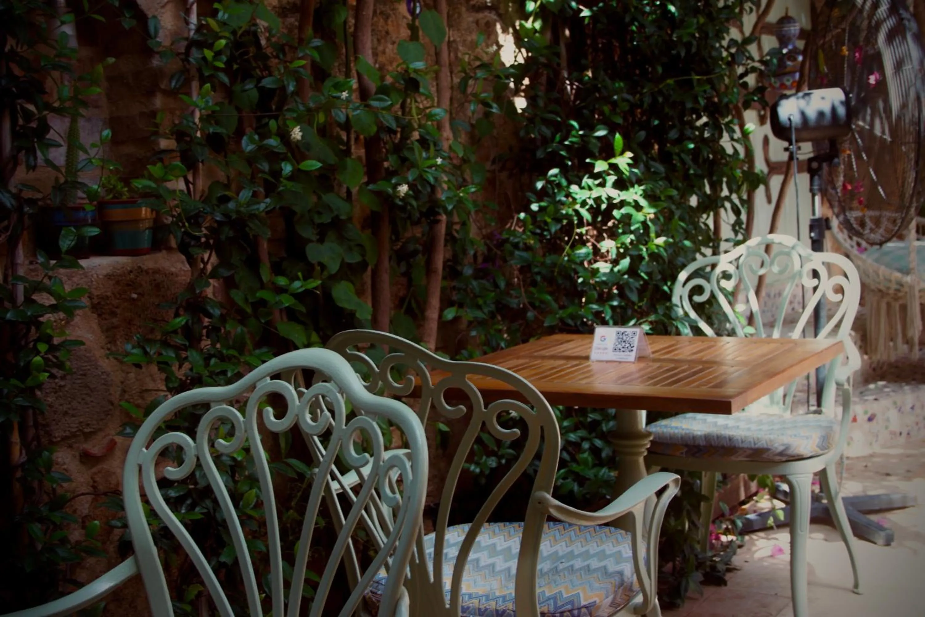 Restaurant/places to eat in Patron Hotel