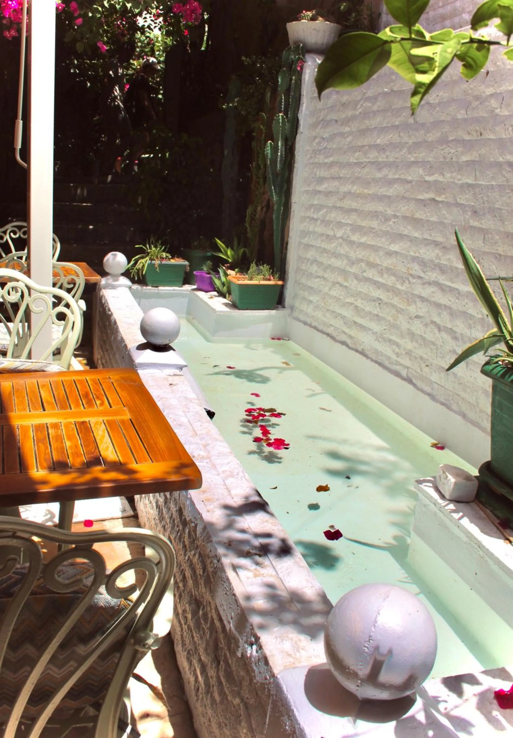 Restaurant/places to eat in Patron Hotel