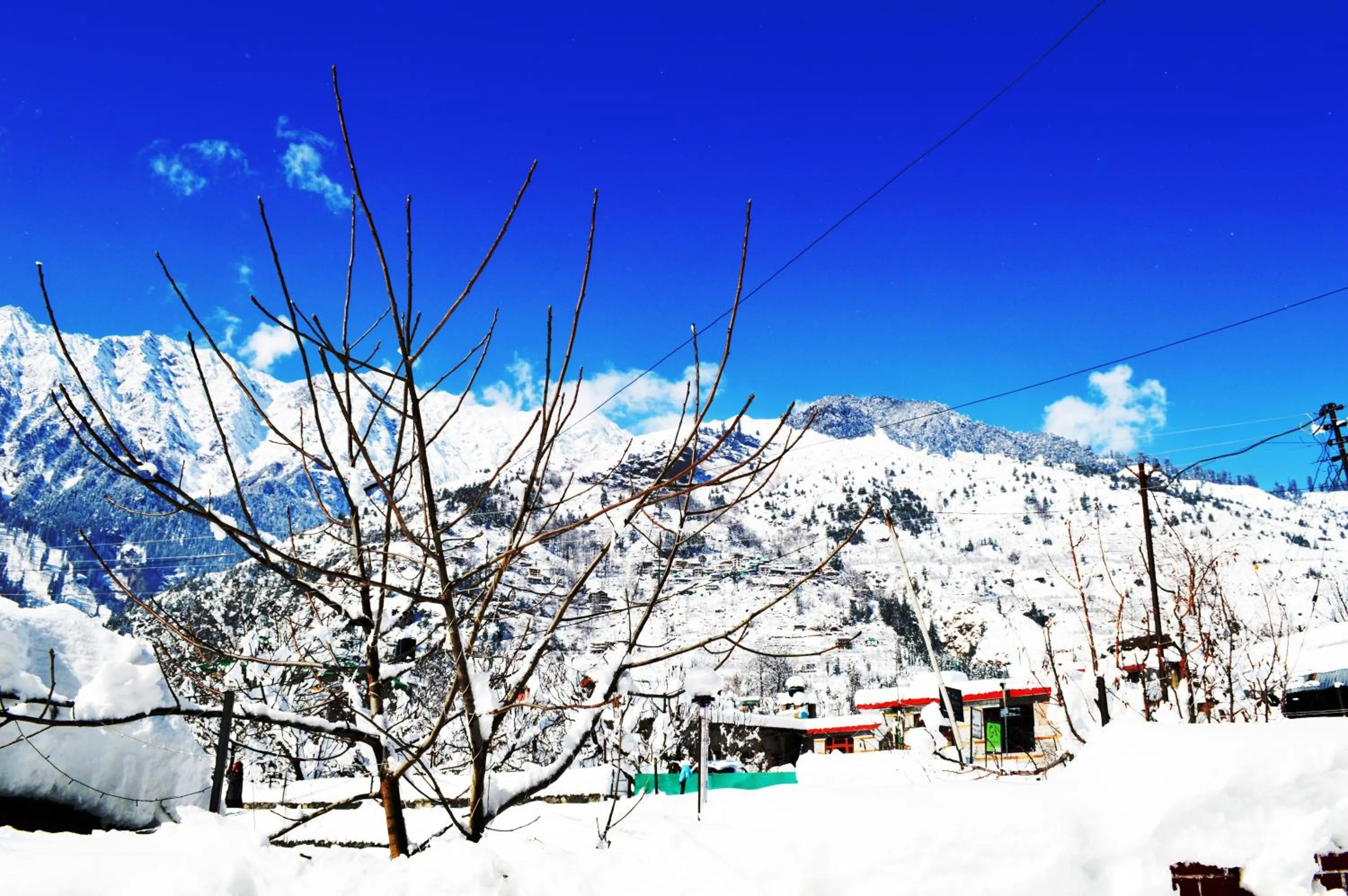 Natural landscape in Manali Outdoor Retreat by Sheosante