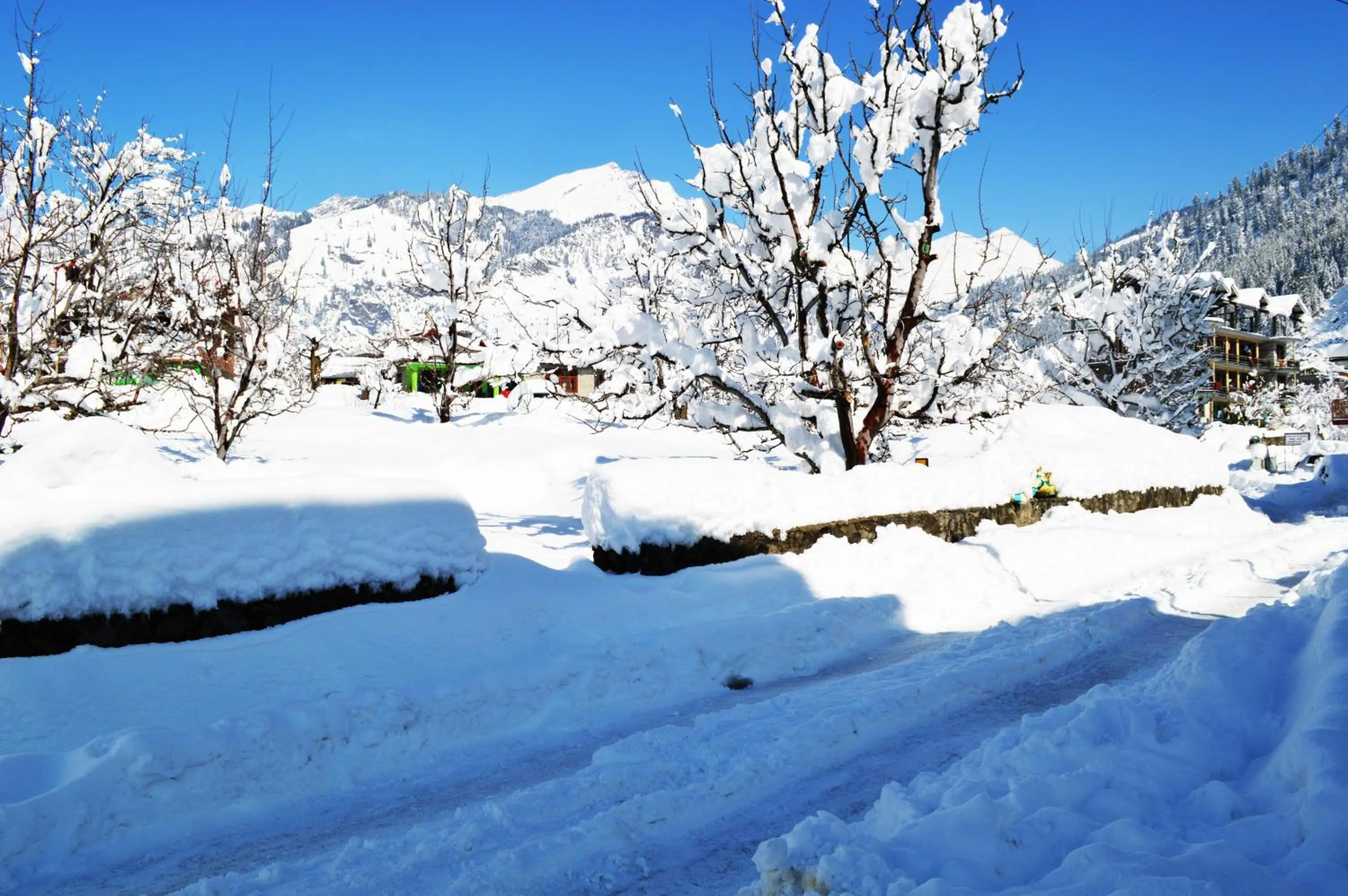 Natural landscape in Manali Outdoor Retreat by Sheosante