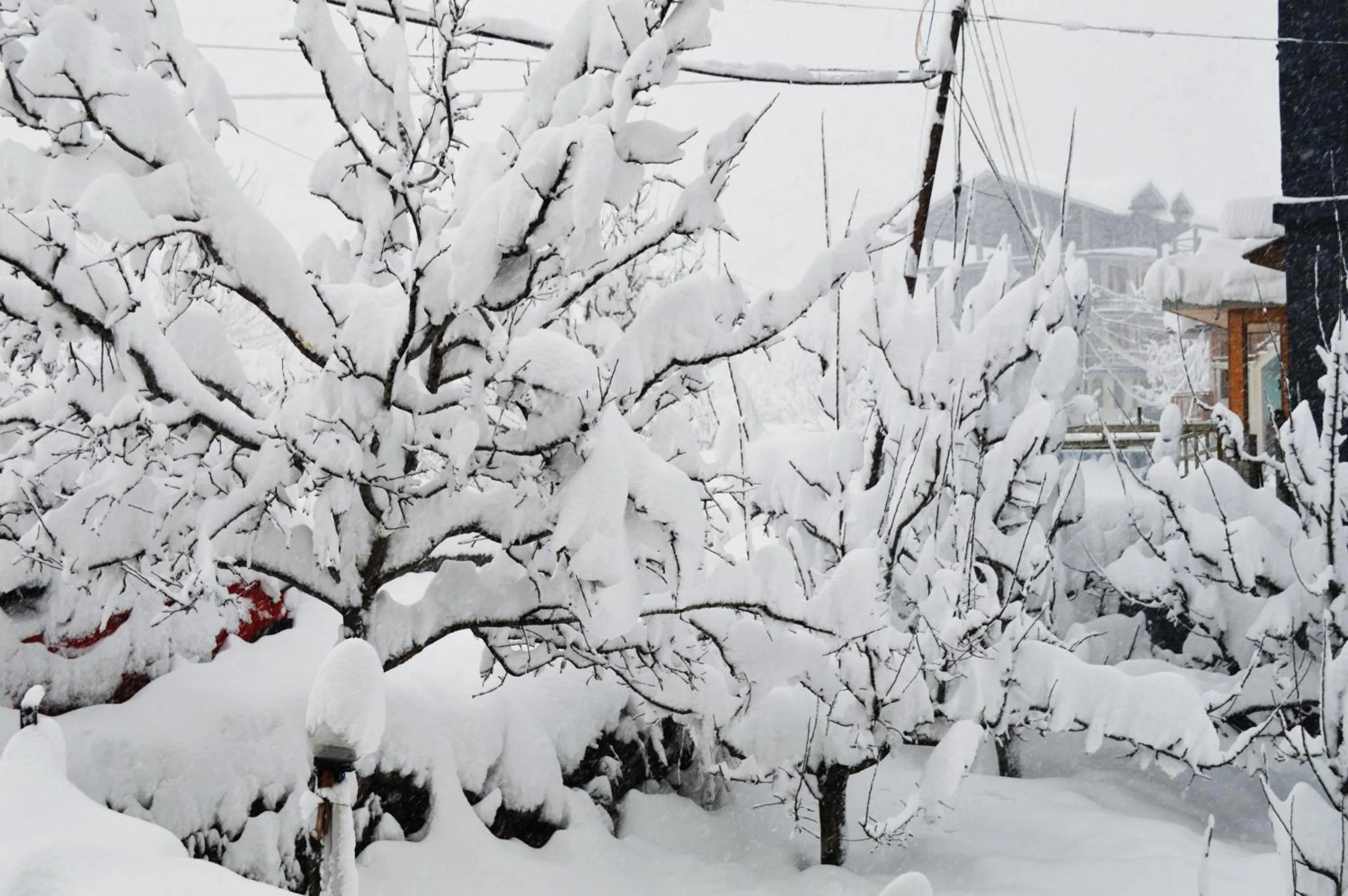 Natural landscape in Manali Outdoor Retreat by Sheosante