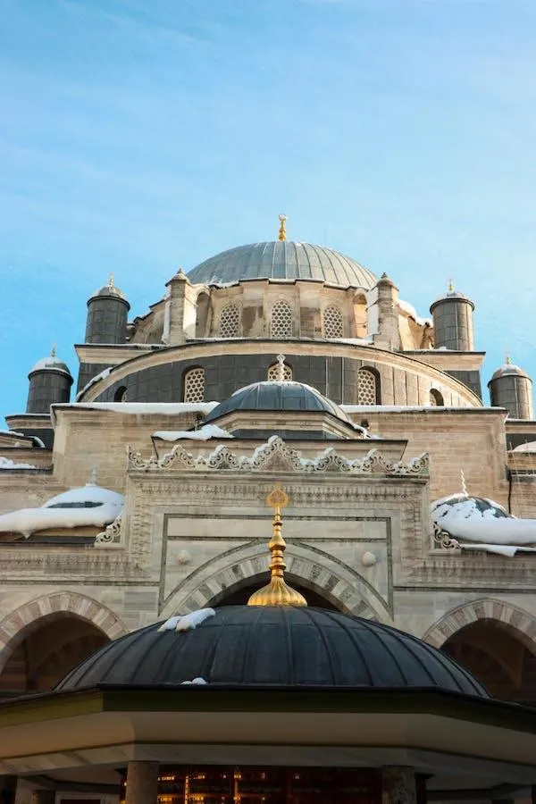 Activities in JOE BLACK APART