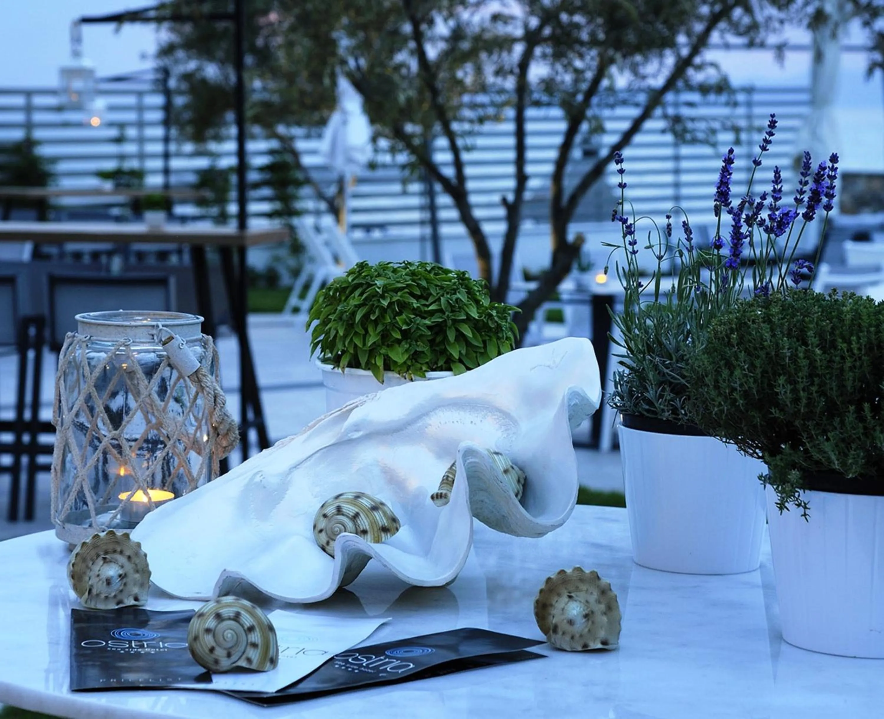 Restaurant/places to eat in Ostria Sea Side Hotel