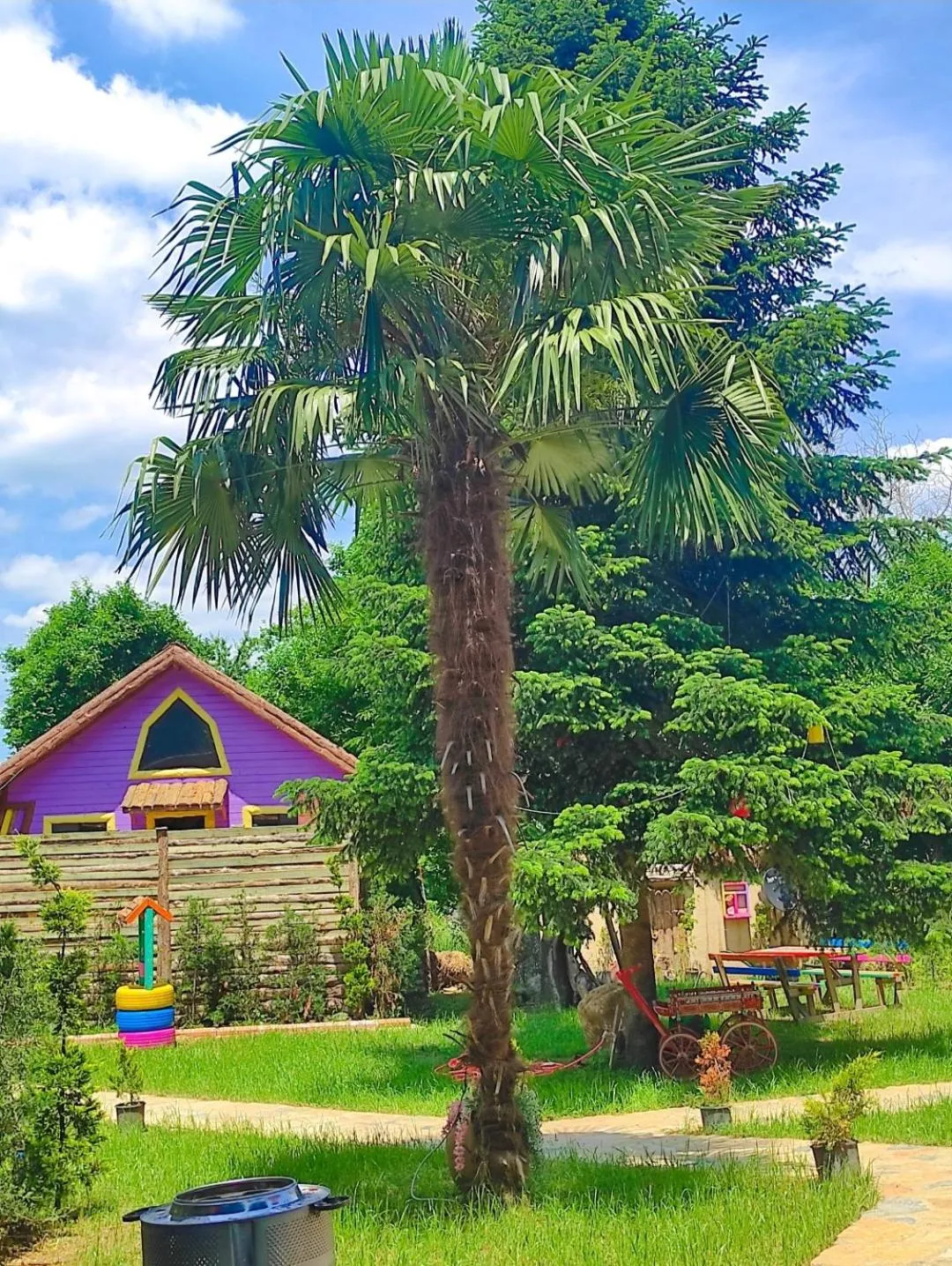 Garden in Sapanca Şeker Bungalov