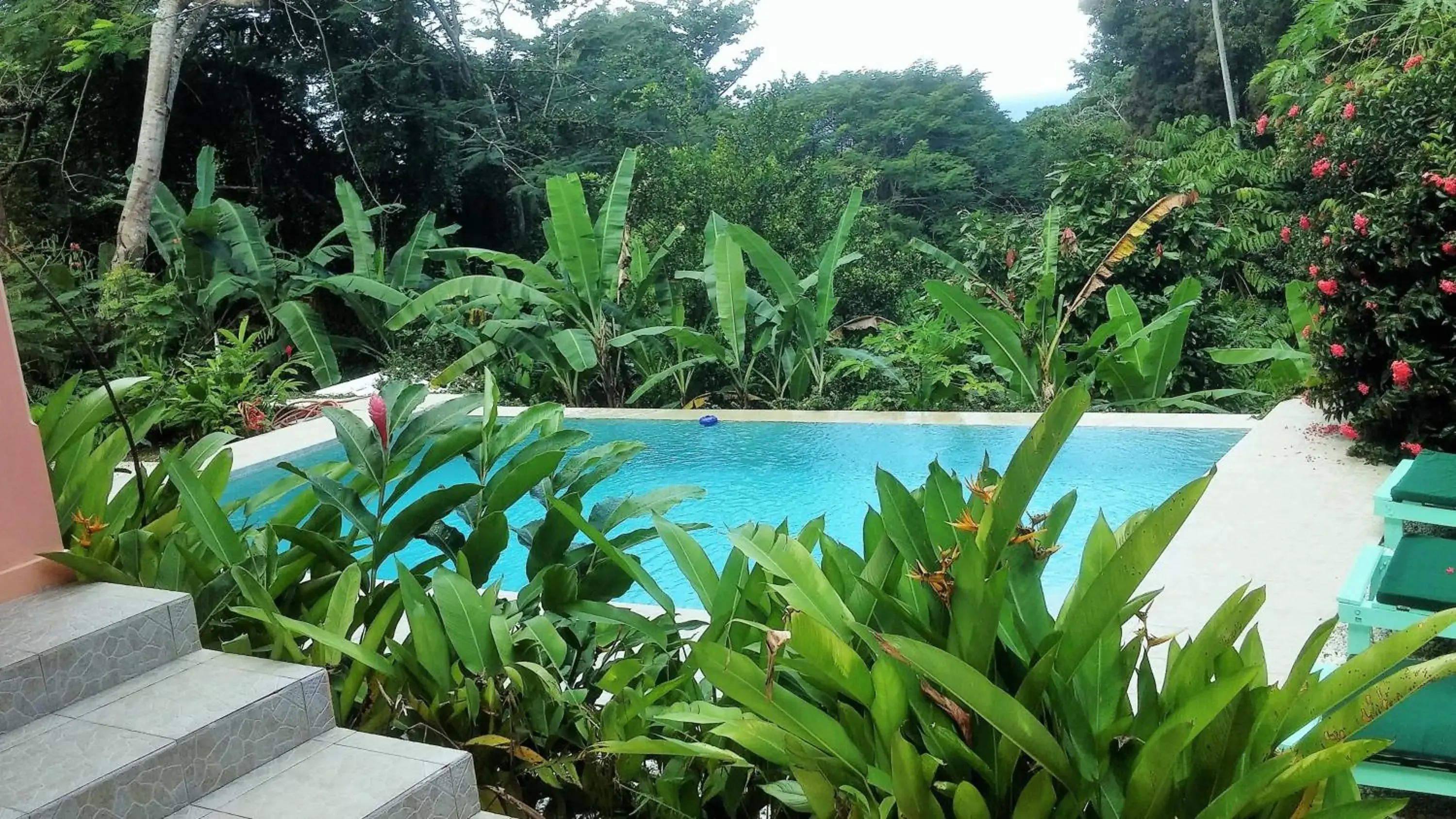 Villa in Tobago Hibiscus Golf Villas & Appartments Villa in Tobago Hibiscus Golf Villas & Appartments
