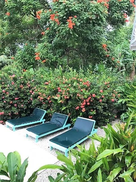 Swimming pool in Tobago Hibiscus Golf Villas & Appartments