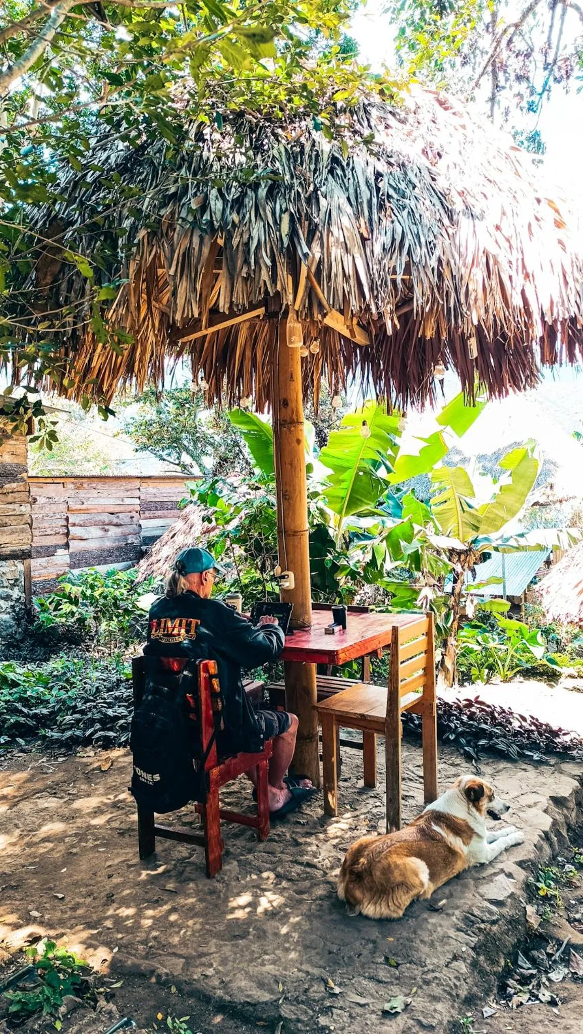 Garden in Eco-Hotel Mayachik