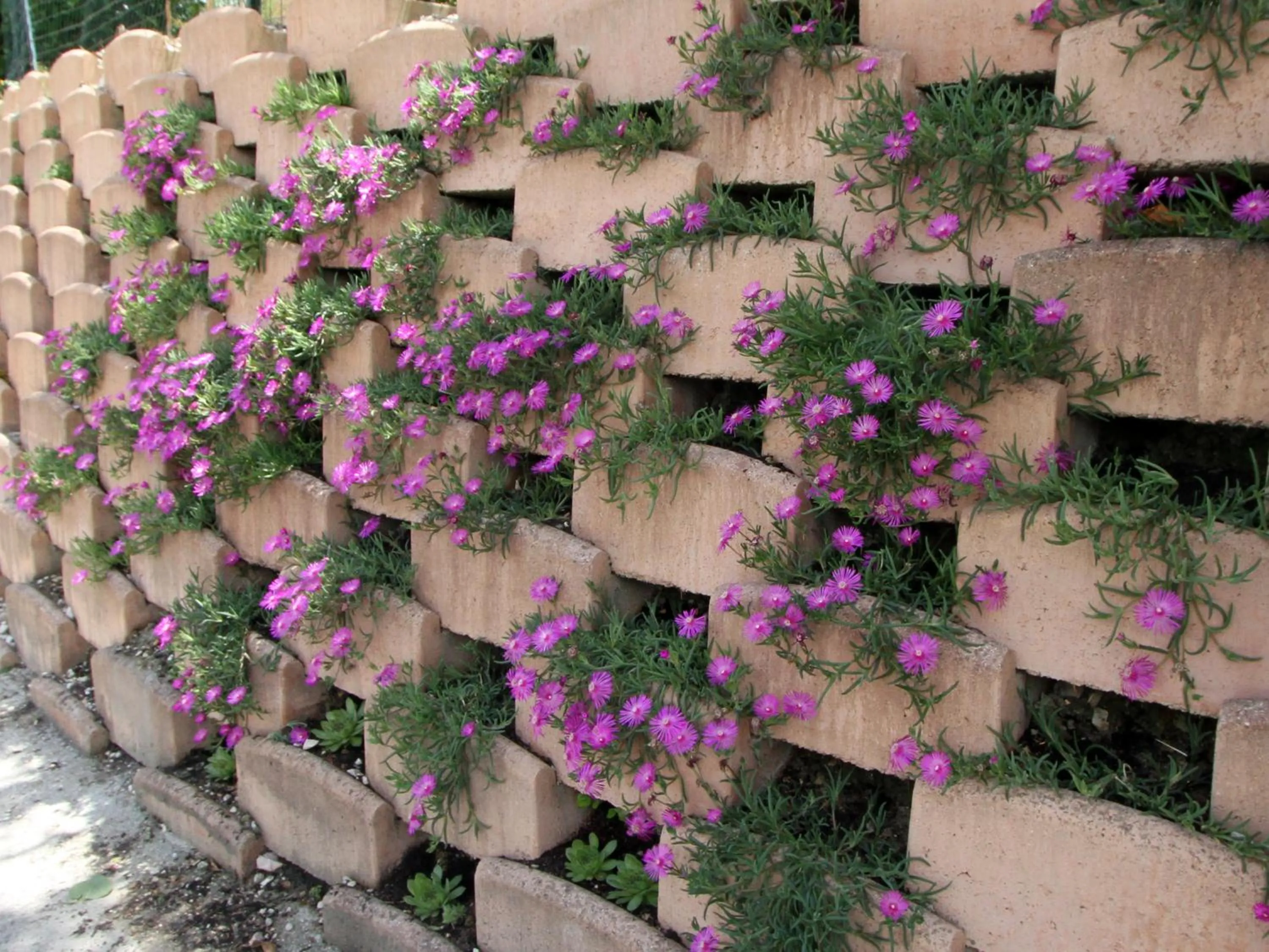 Facade/entrance in B&B L'Armonia