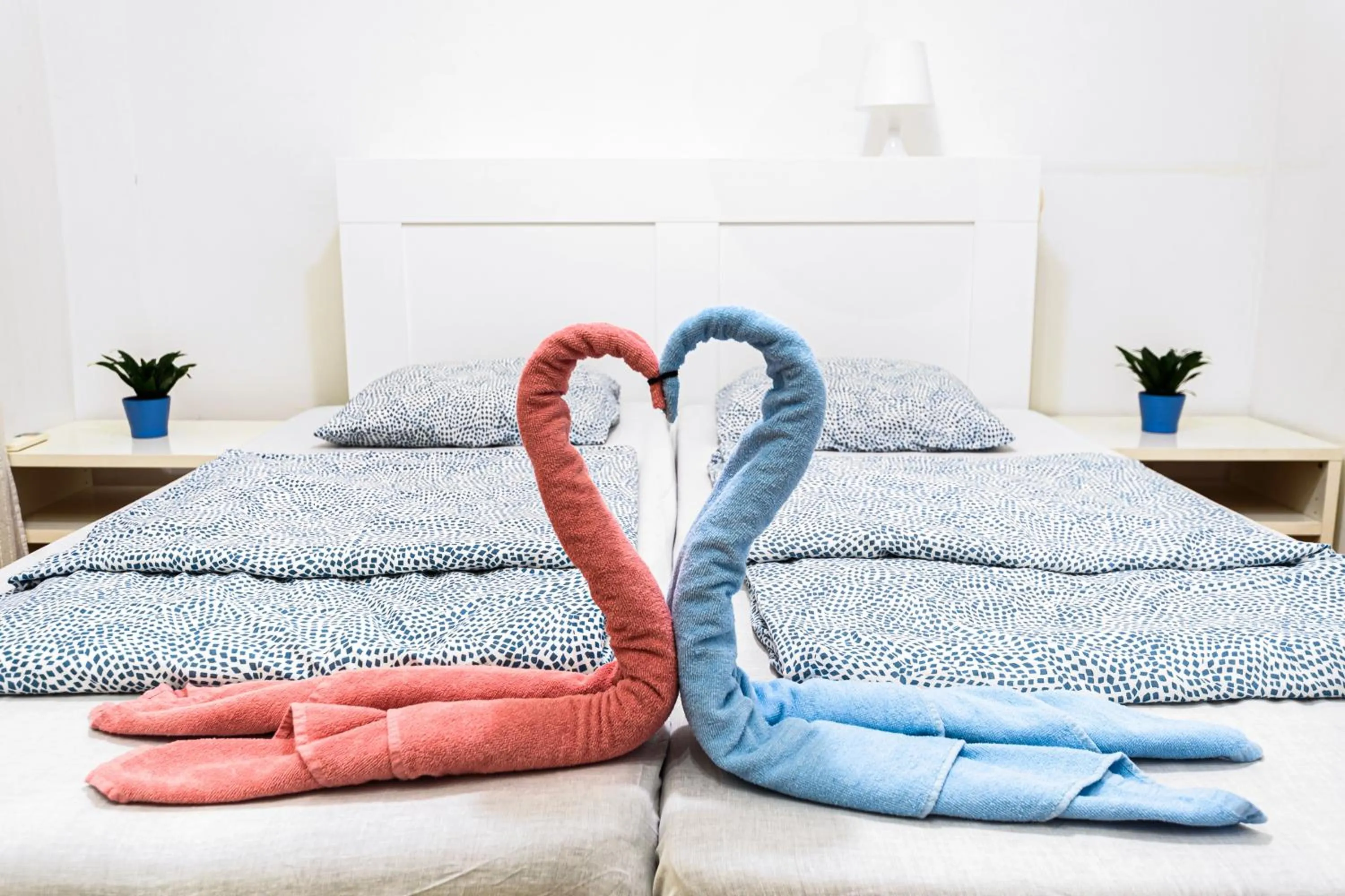 Bed in Avenue Hostel