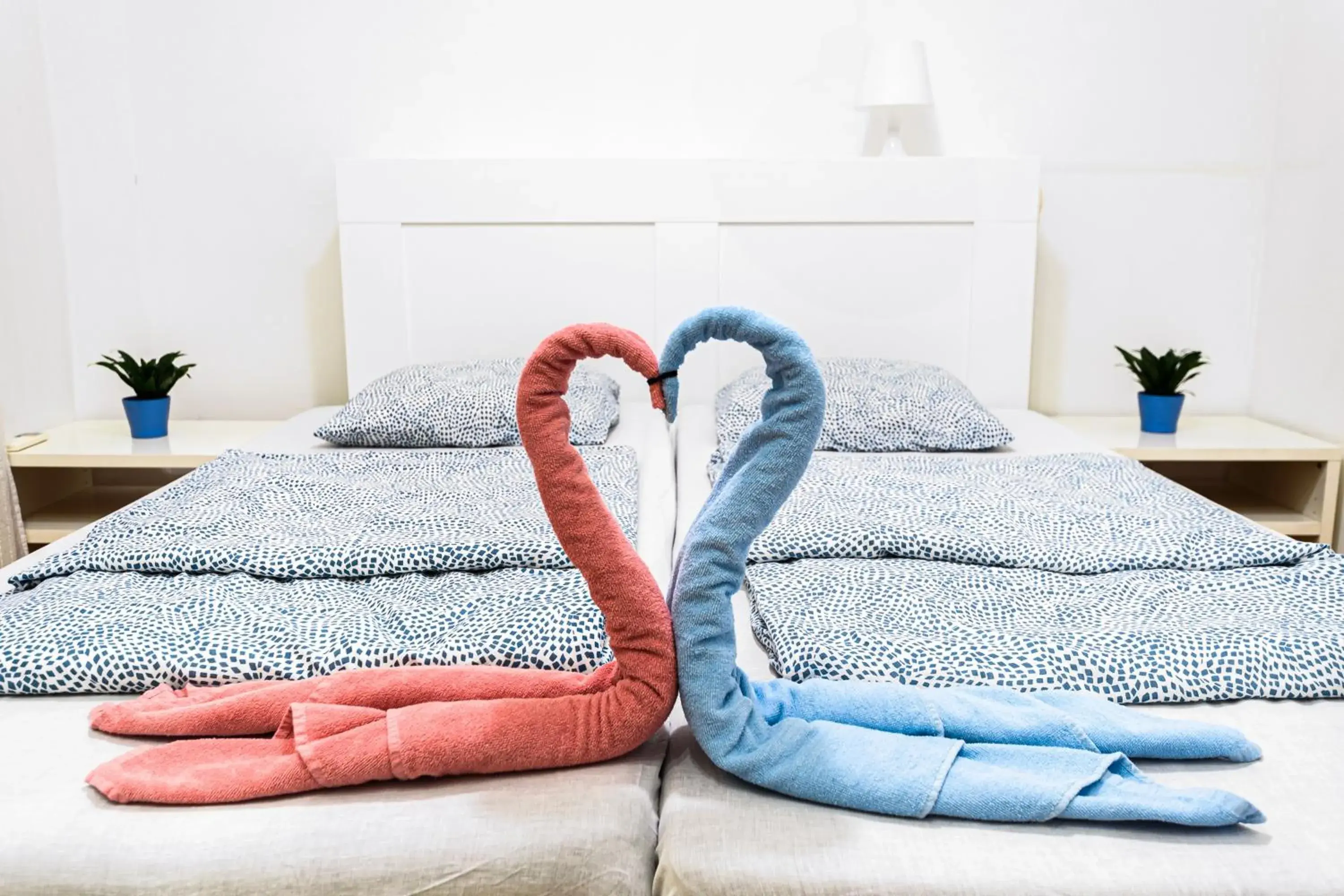 Superior Double or Twin Room in Avenue Hostel Superior Double or Twin Room in Avenue Hostel