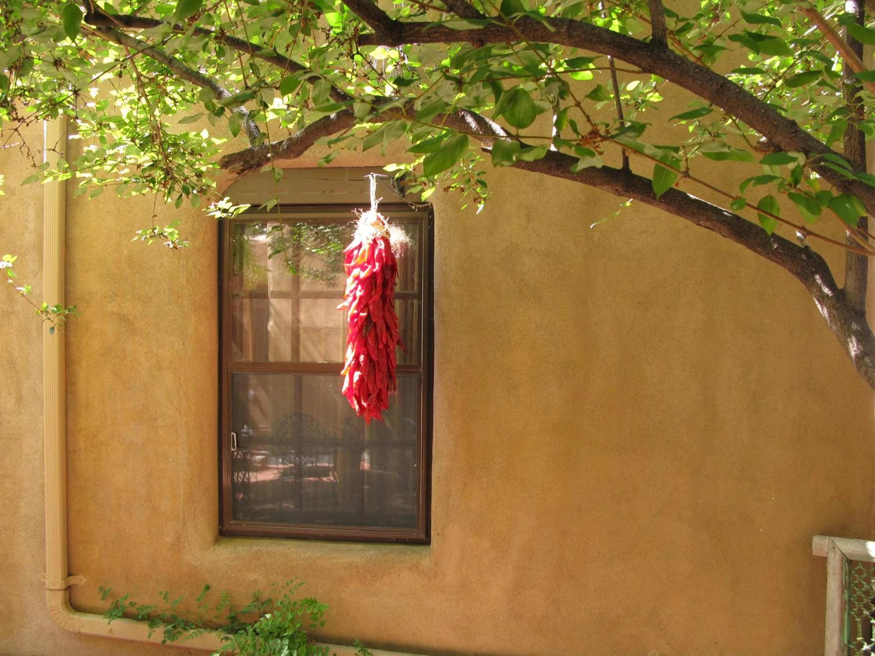 Inner courtyard view in Casa de Tres Lunas/House of Three Moons