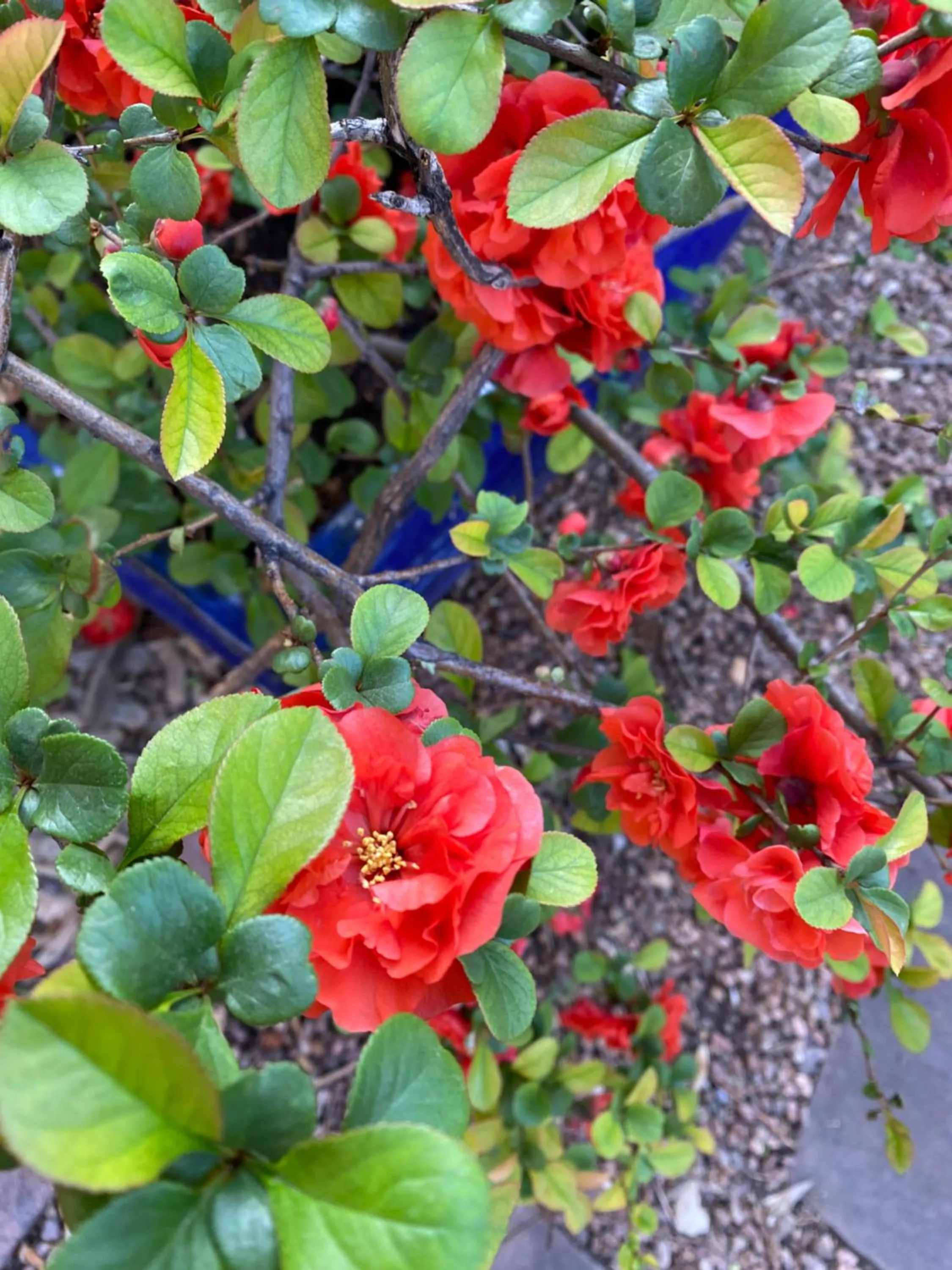 Inner courtyard view in Casa de Tres Lunas/House of Three Moons
