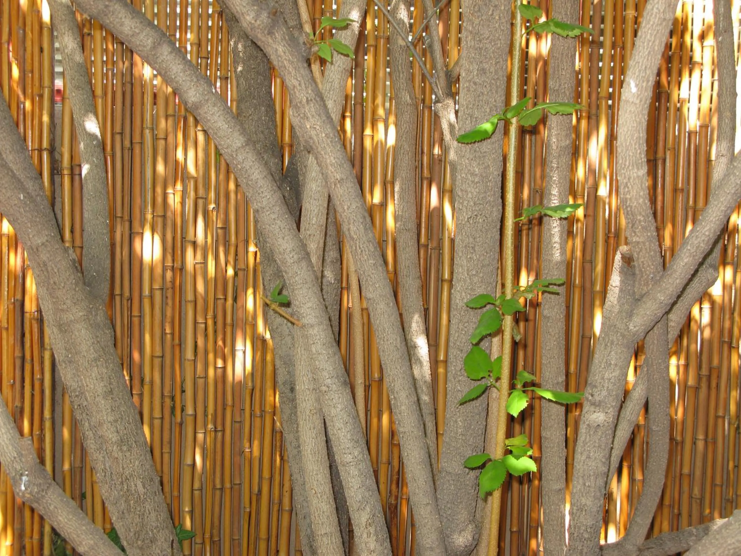 Inner courtyard view in Casa de Tres Lunas/House of Three Moons