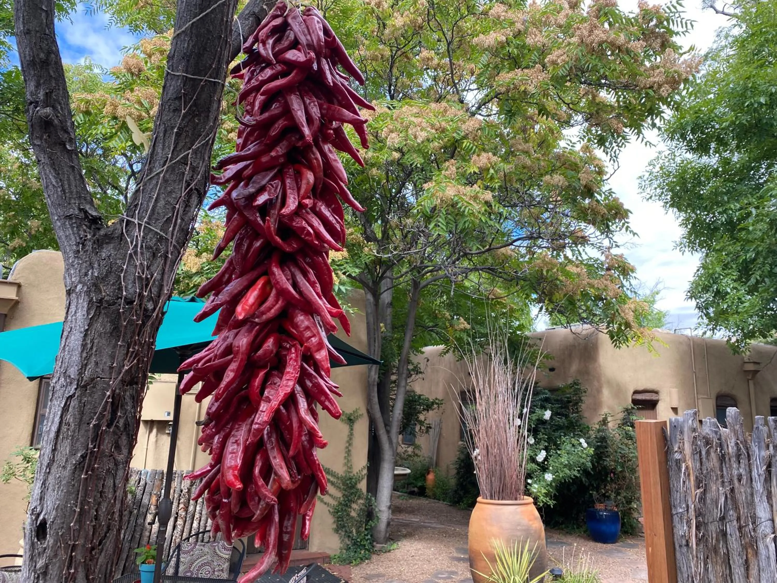 Inner courtyard view in Casa de Tres Lunas/House of Three Moons