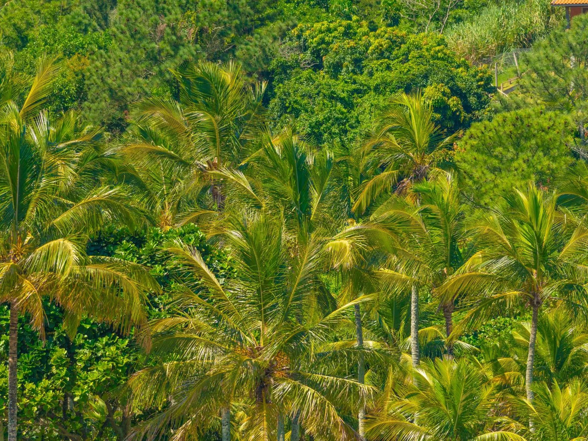 Beach in Pousada Vila Barequeçaba