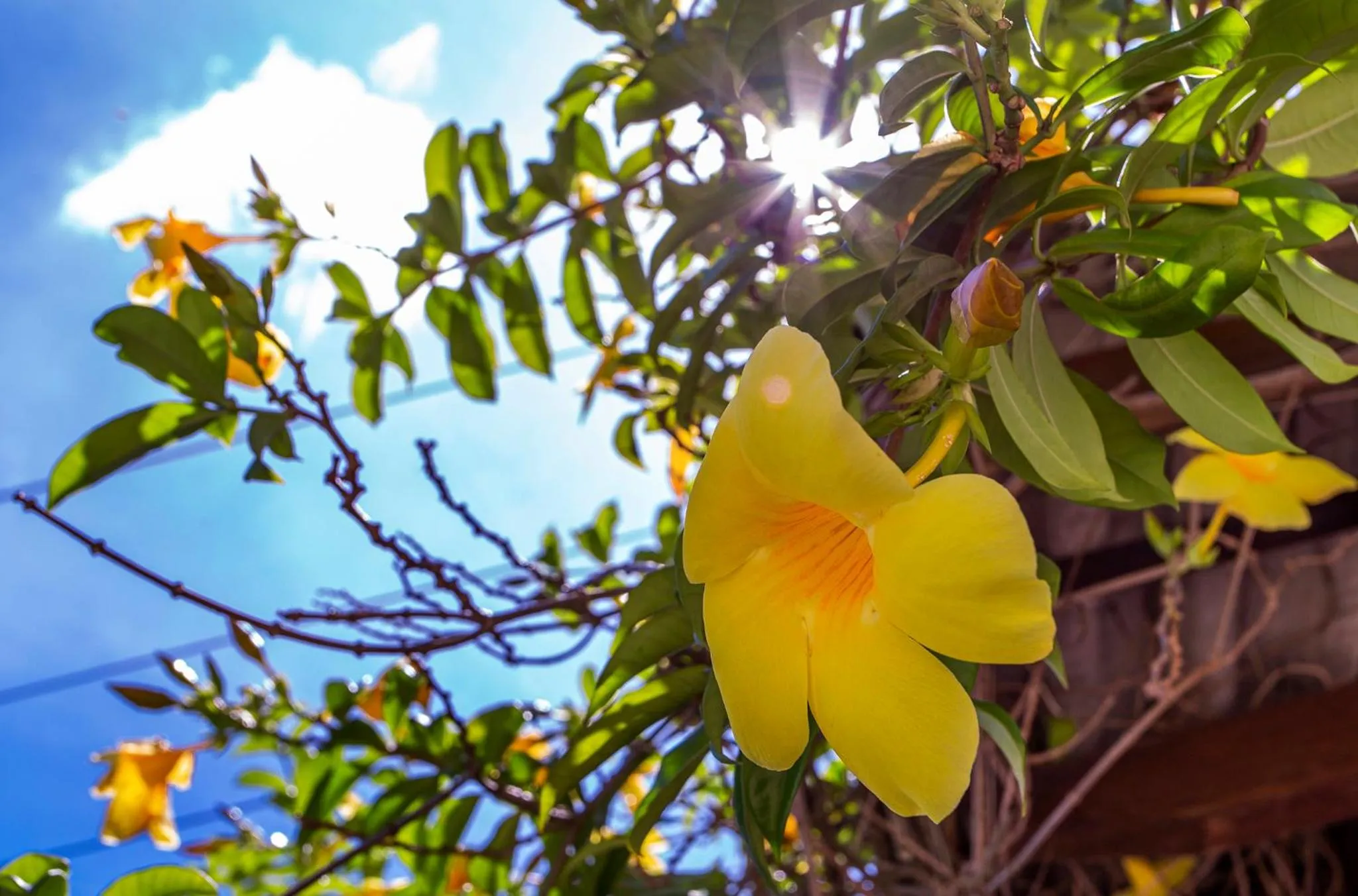 Property building in Pousada Vila Barequeçaba