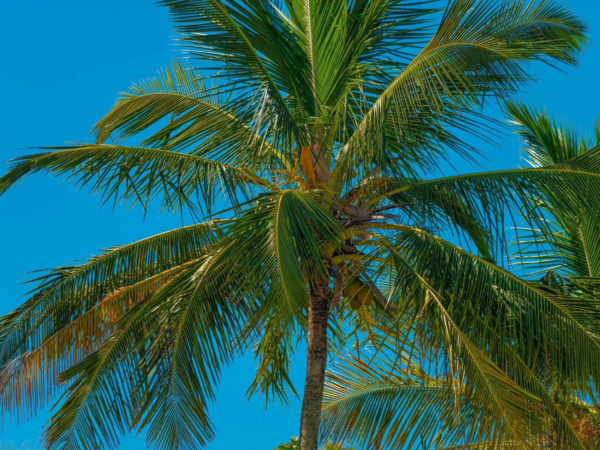 Beach in Pousada Vila Barequeçaba