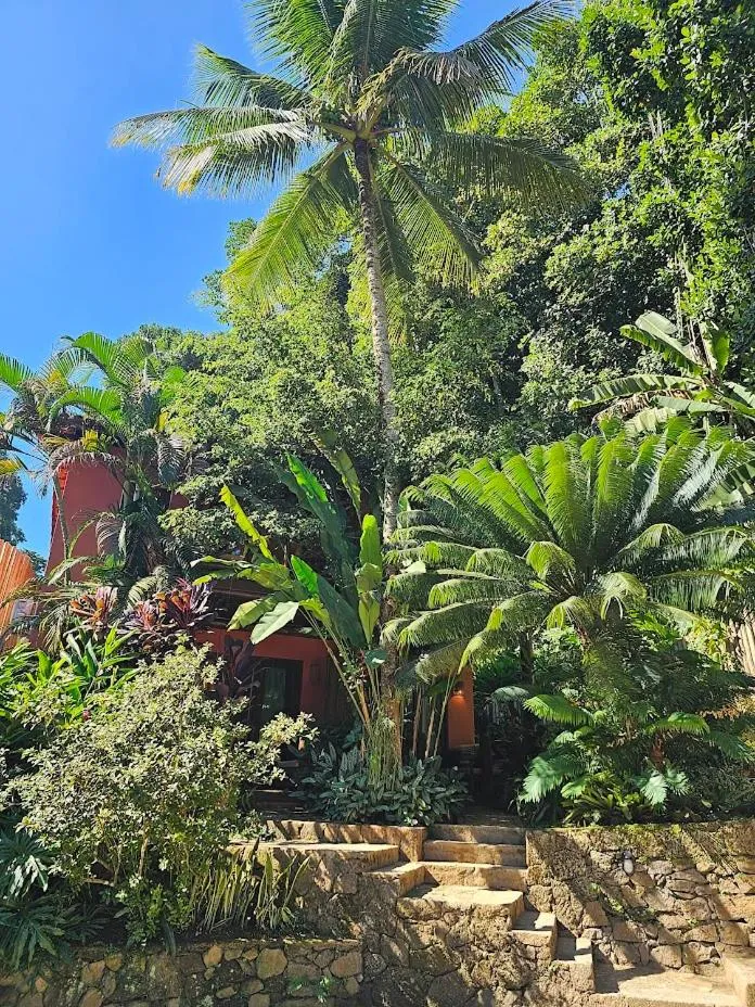 Garden in Pousada e Mergulho Jamanta