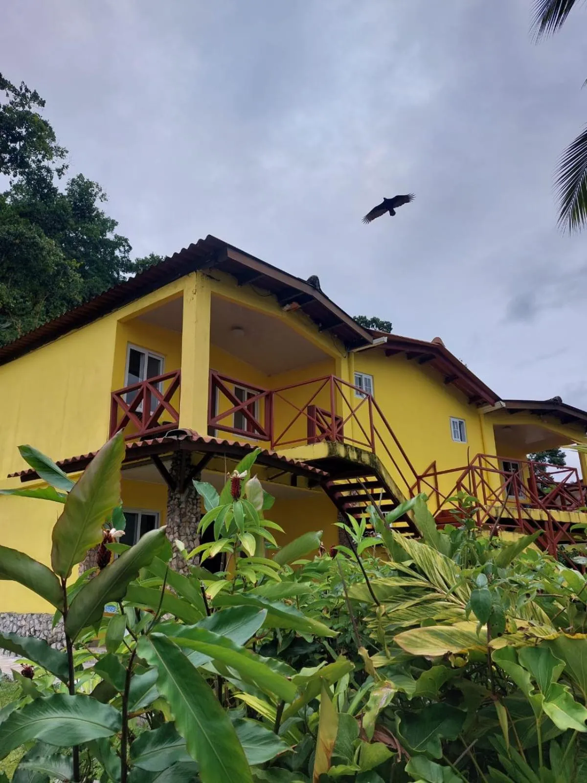 Property building in ScubaPortobelo