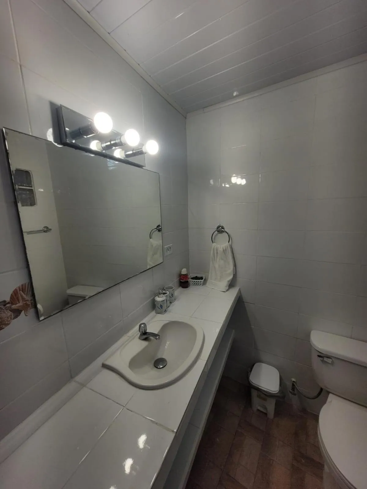 Toilet in ScubaPortobelo