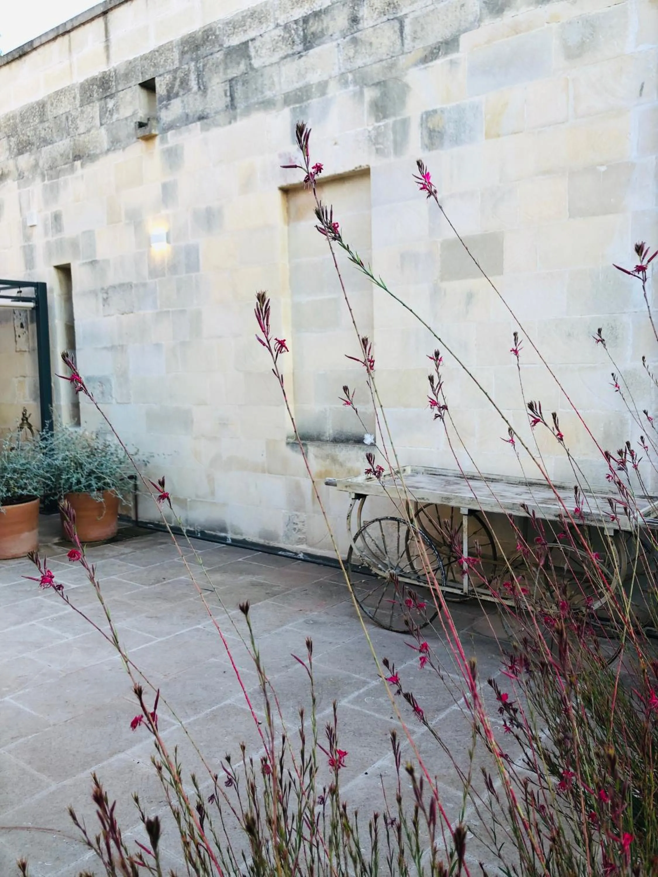 Property building in LuLeccio