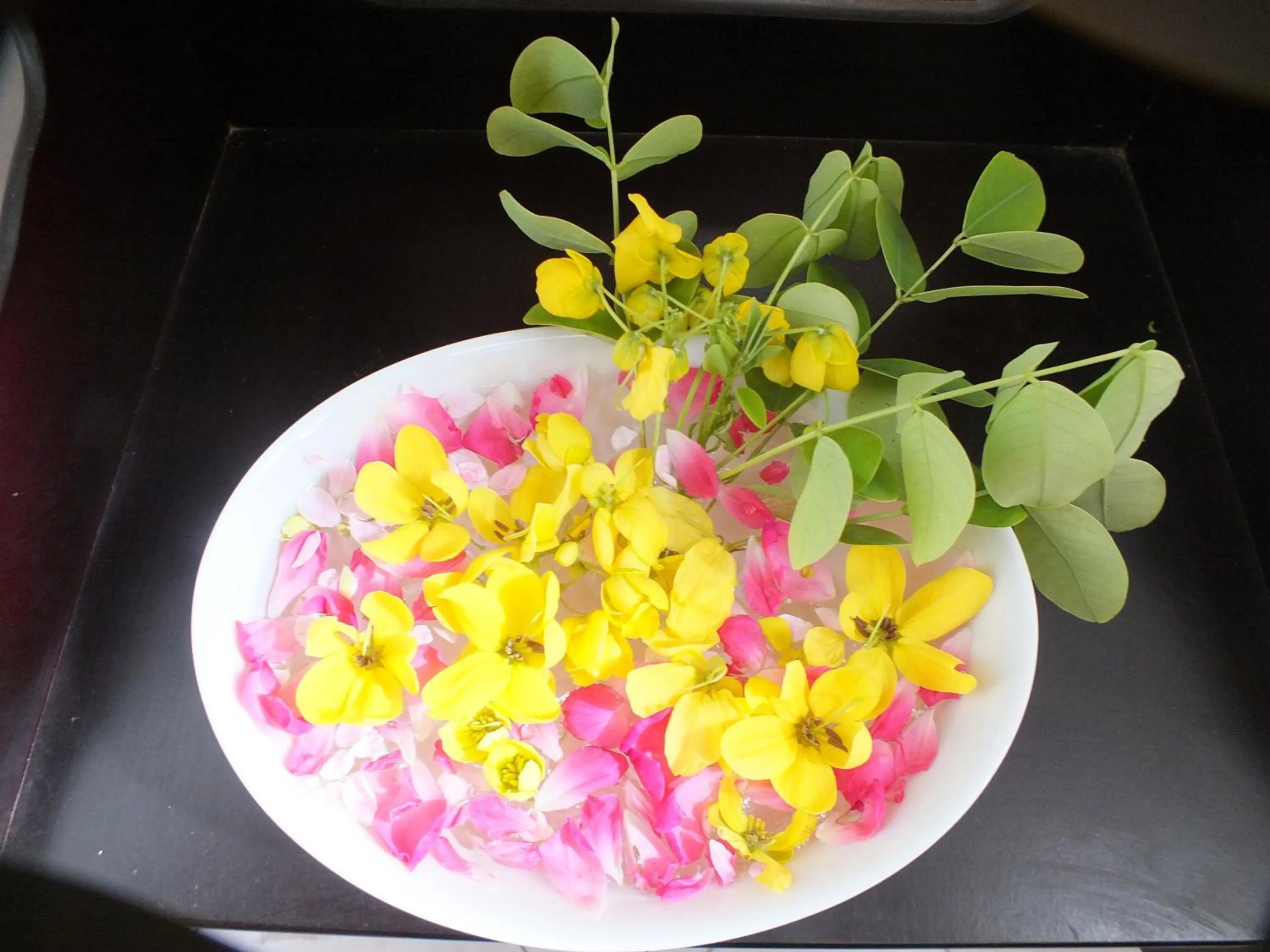 Other in Arogya Resort