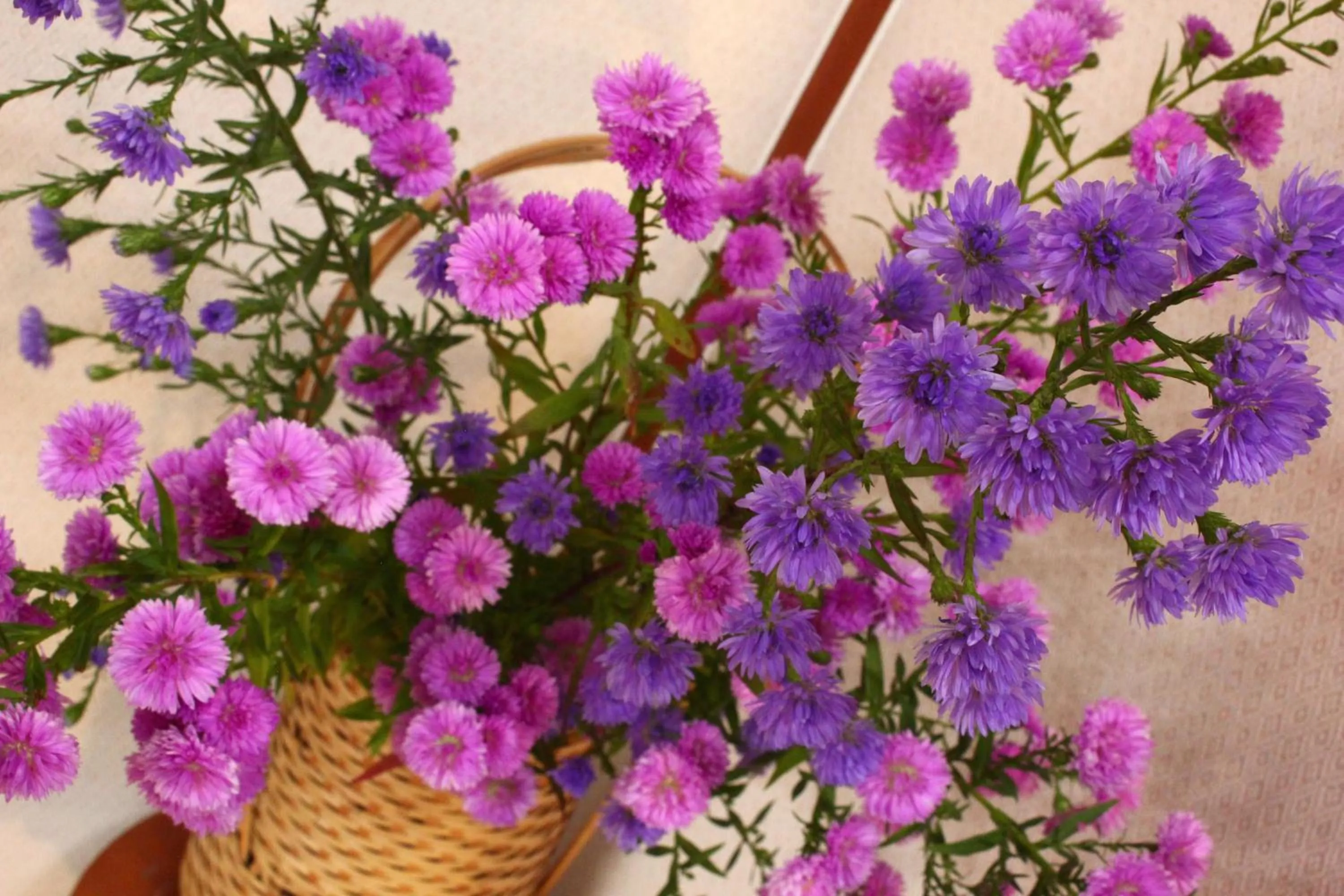 Other in Nishiki-no-Yu Jimotoya