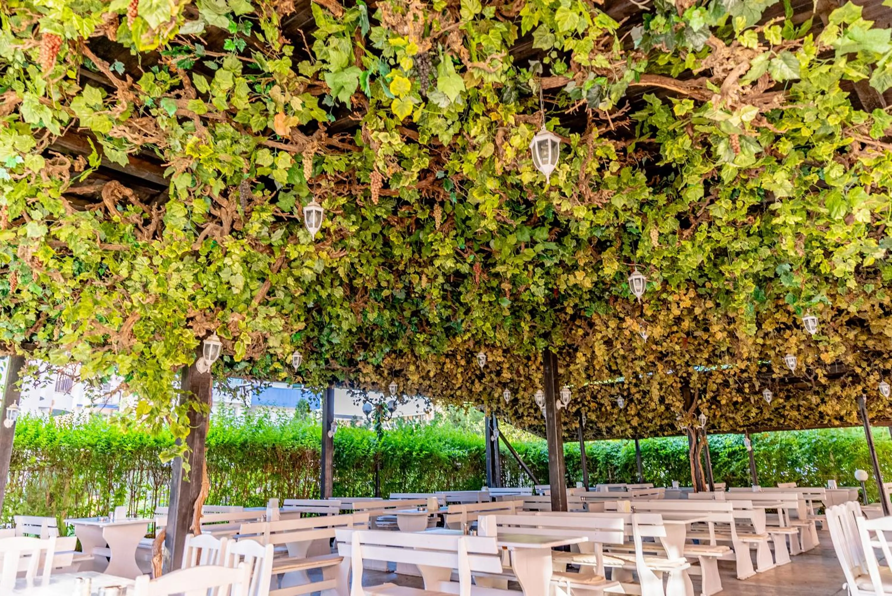 Restaurant/places to eat in Izola Paradise Hotel - All Inclusive