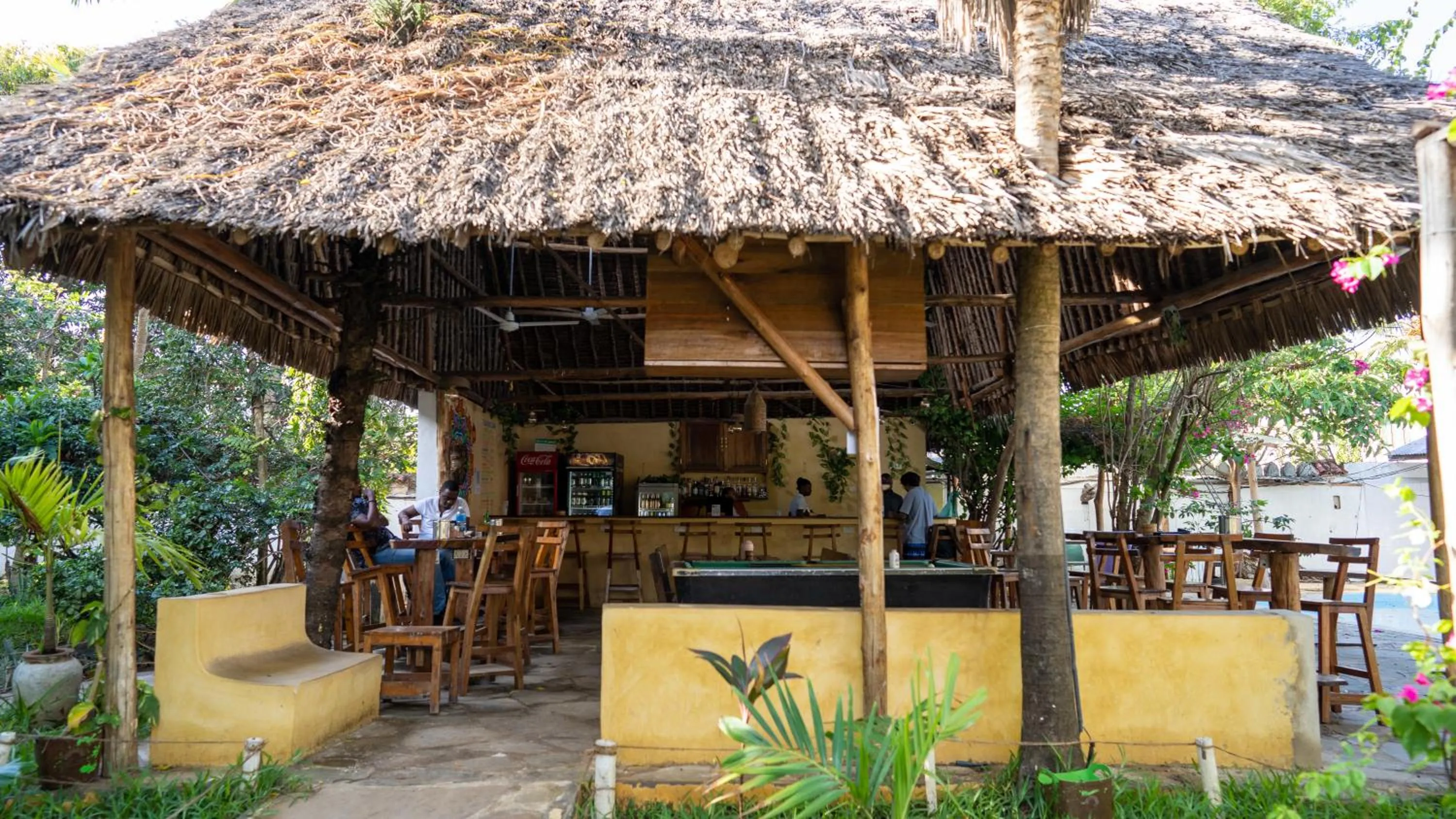 Lounge or bar in Tulia House Backpackers