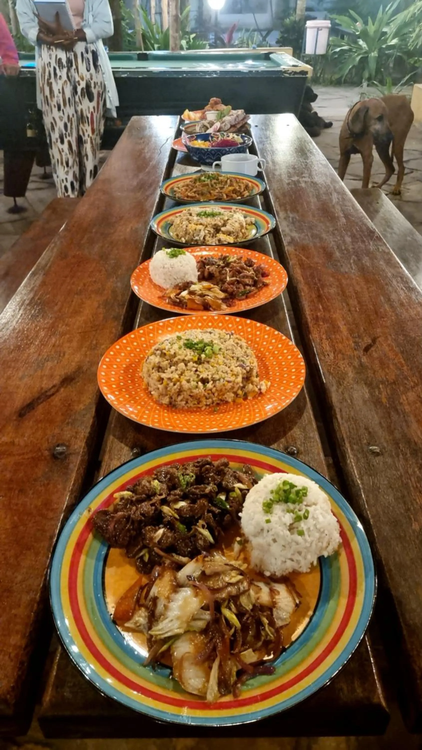 Lounge or bar in Tulia House Backpackers