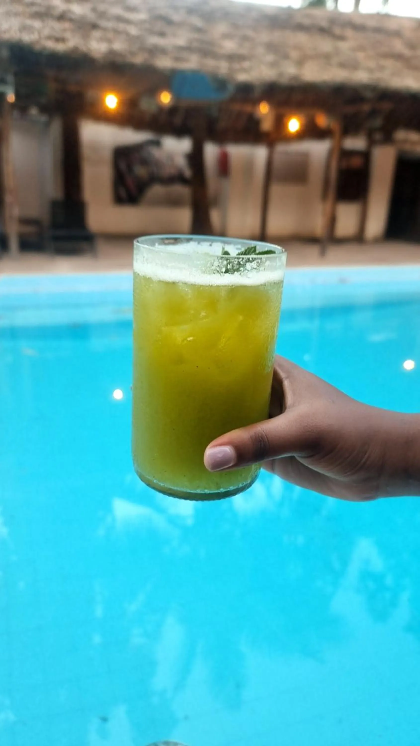 Lounge or bar in Tulia House Backpackers