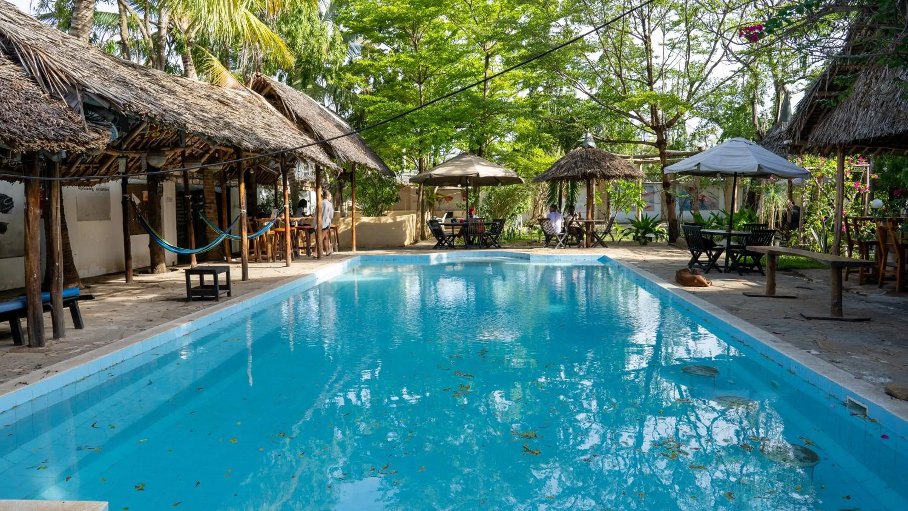 Swimming pool in Tulia House Backpackers