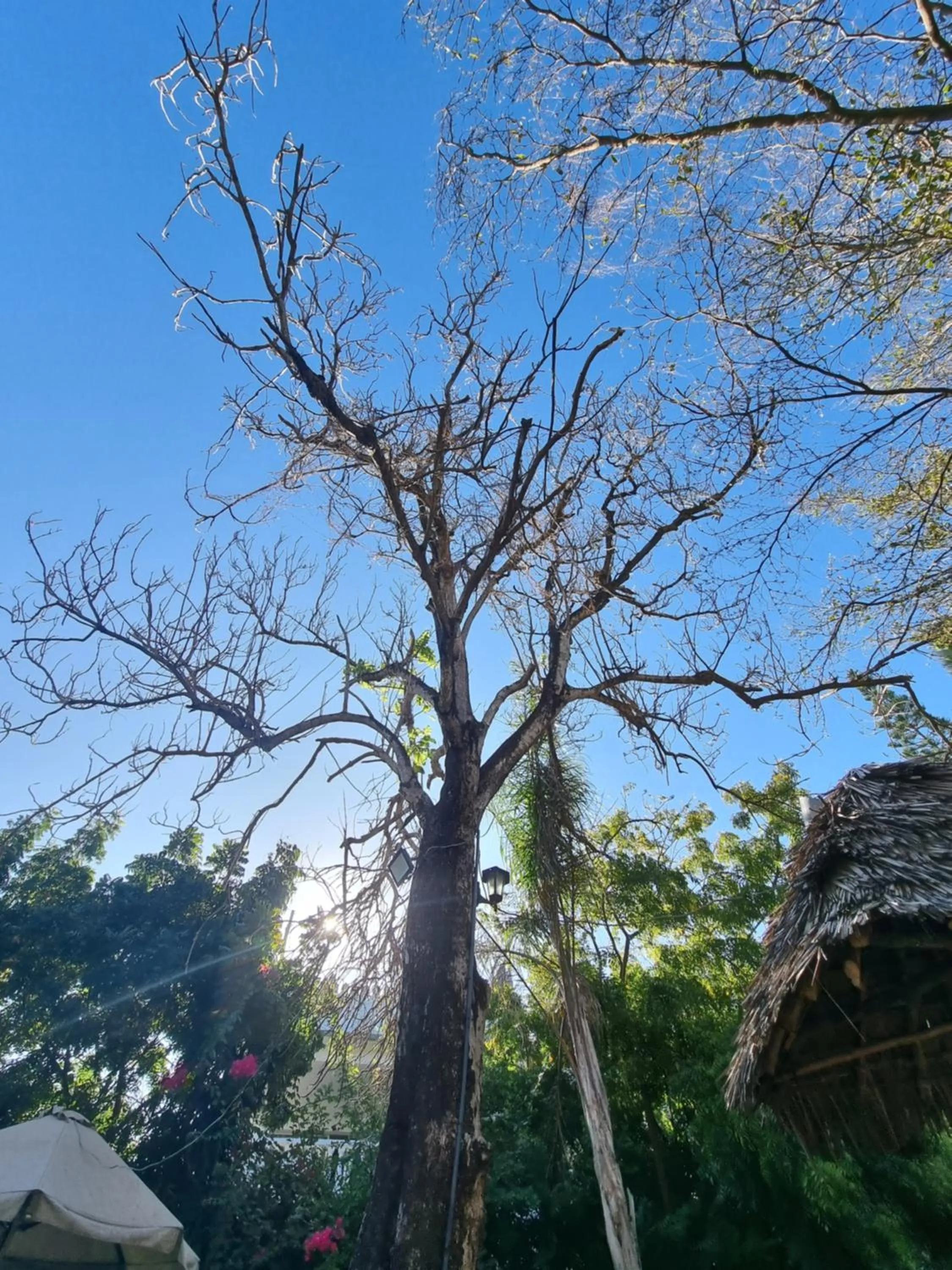 Tulia House Backpackers