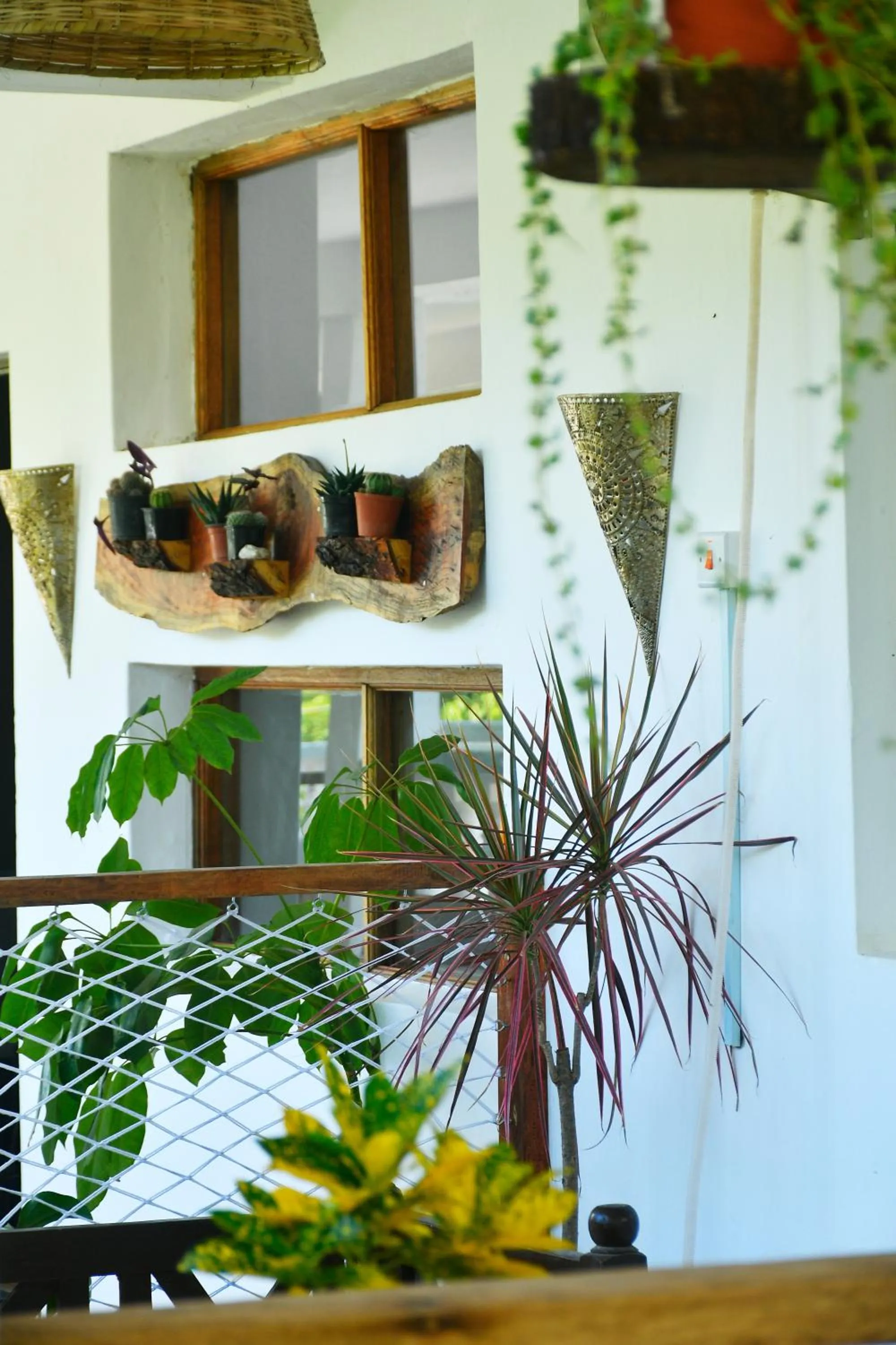 Tulia House Backpackers